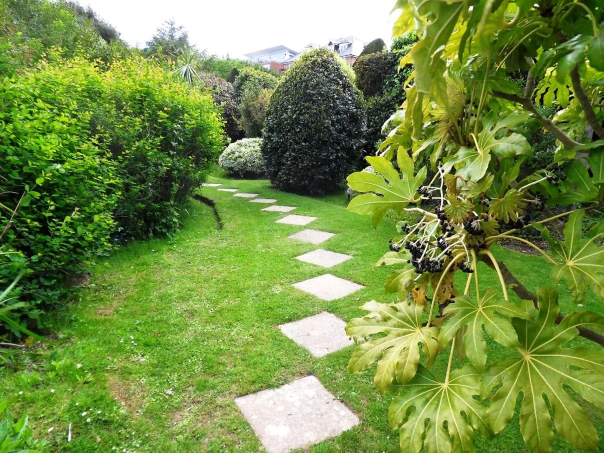 Garden in Luccombe Hall Hotel