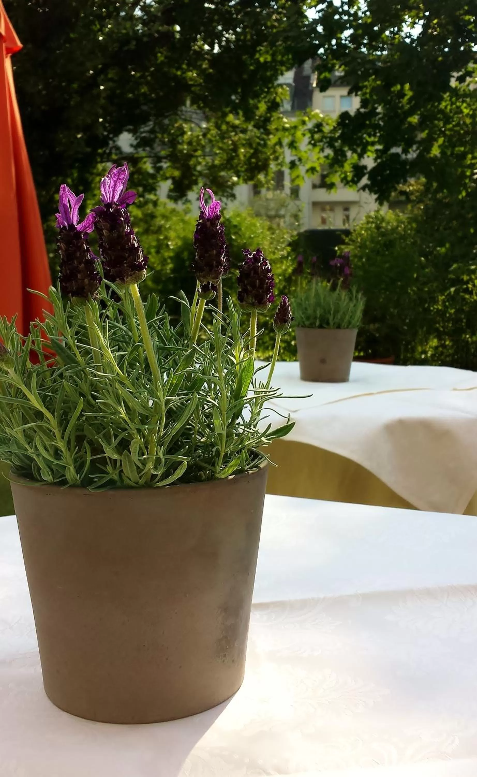 Decorative detail in Hotel Mingarden