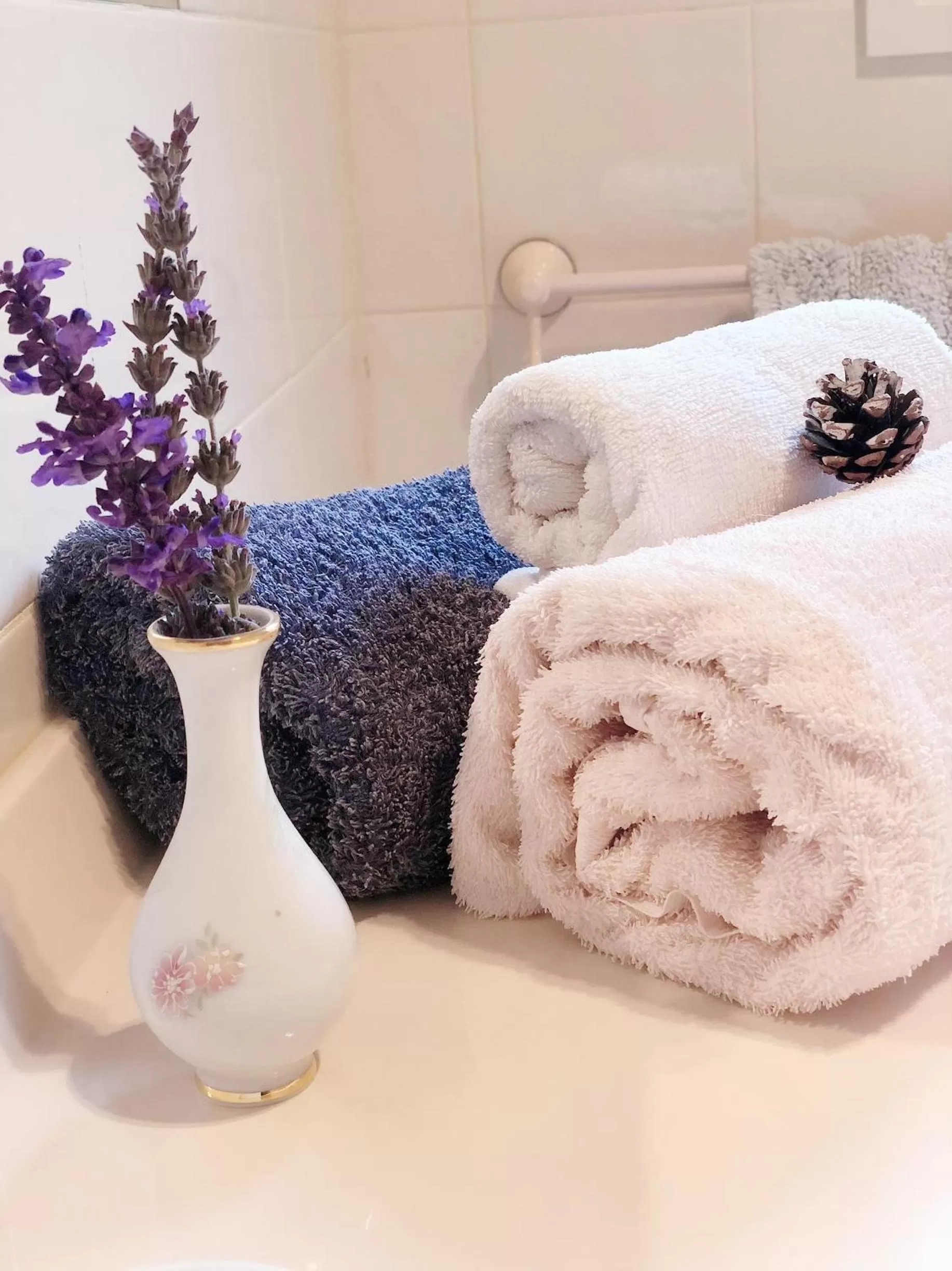 towels in Rosewood Park Guest Suite