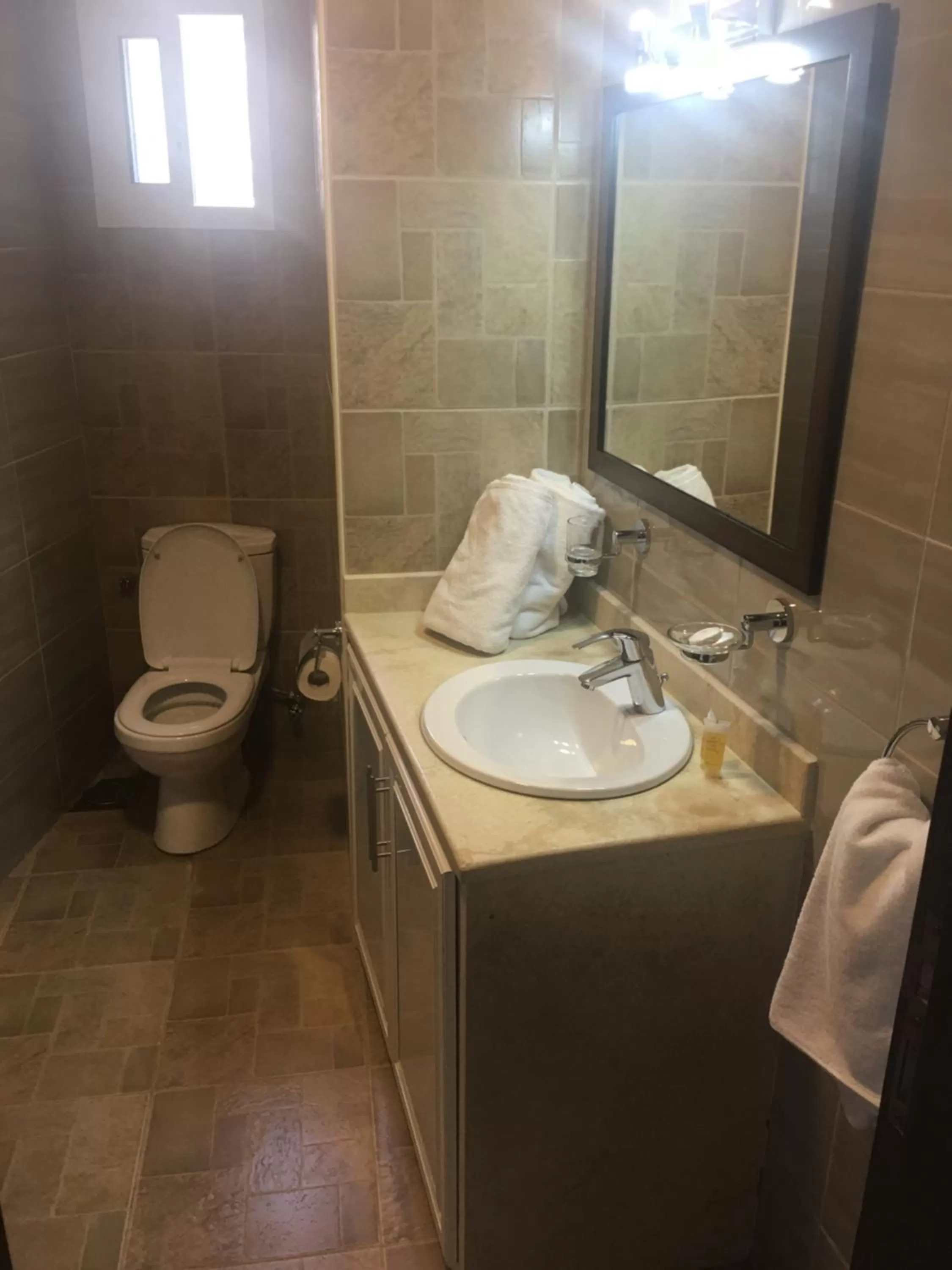 Bathroom in Hotel L'Aiglon