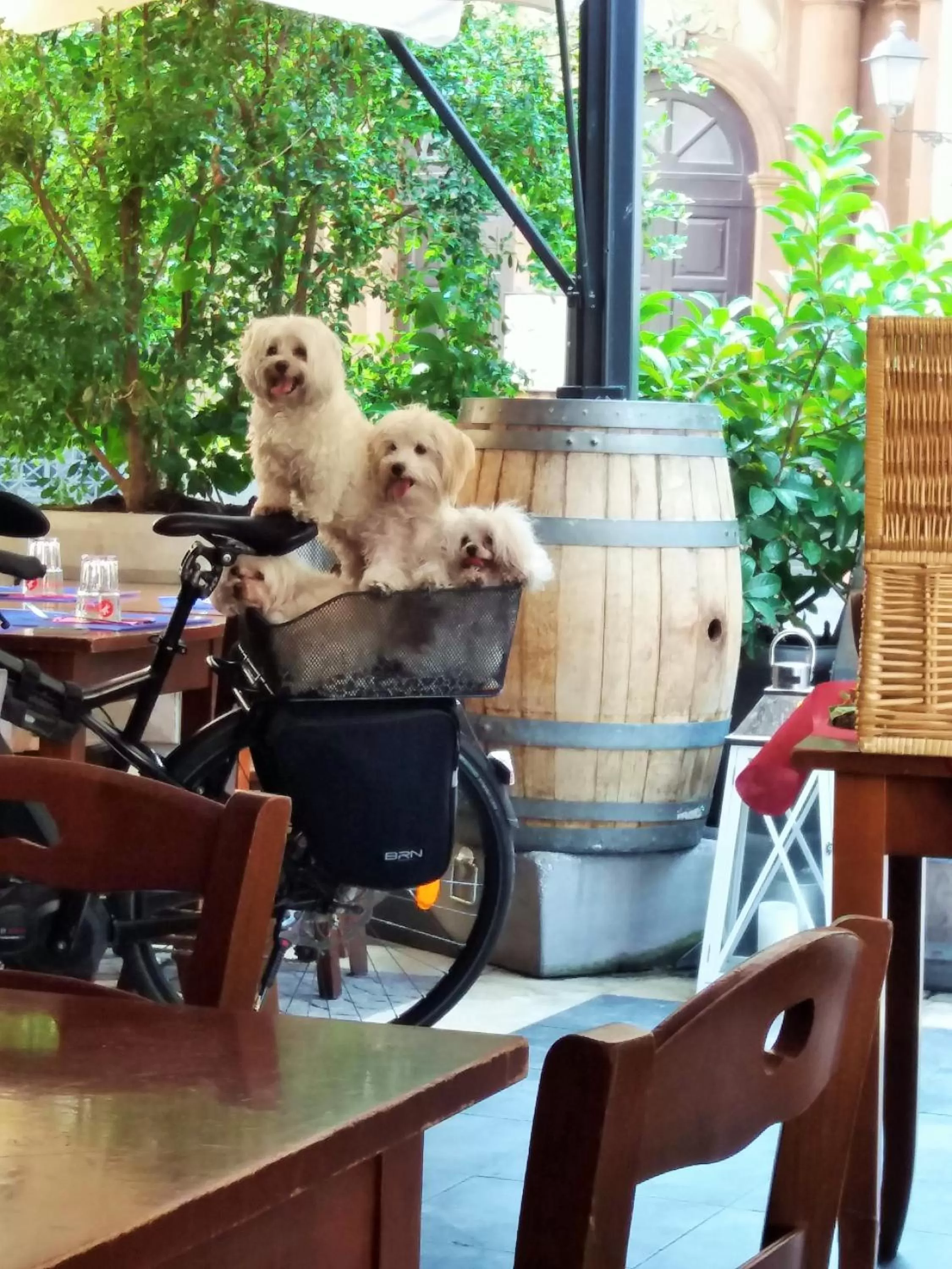 Day in B&B Oriental Palace