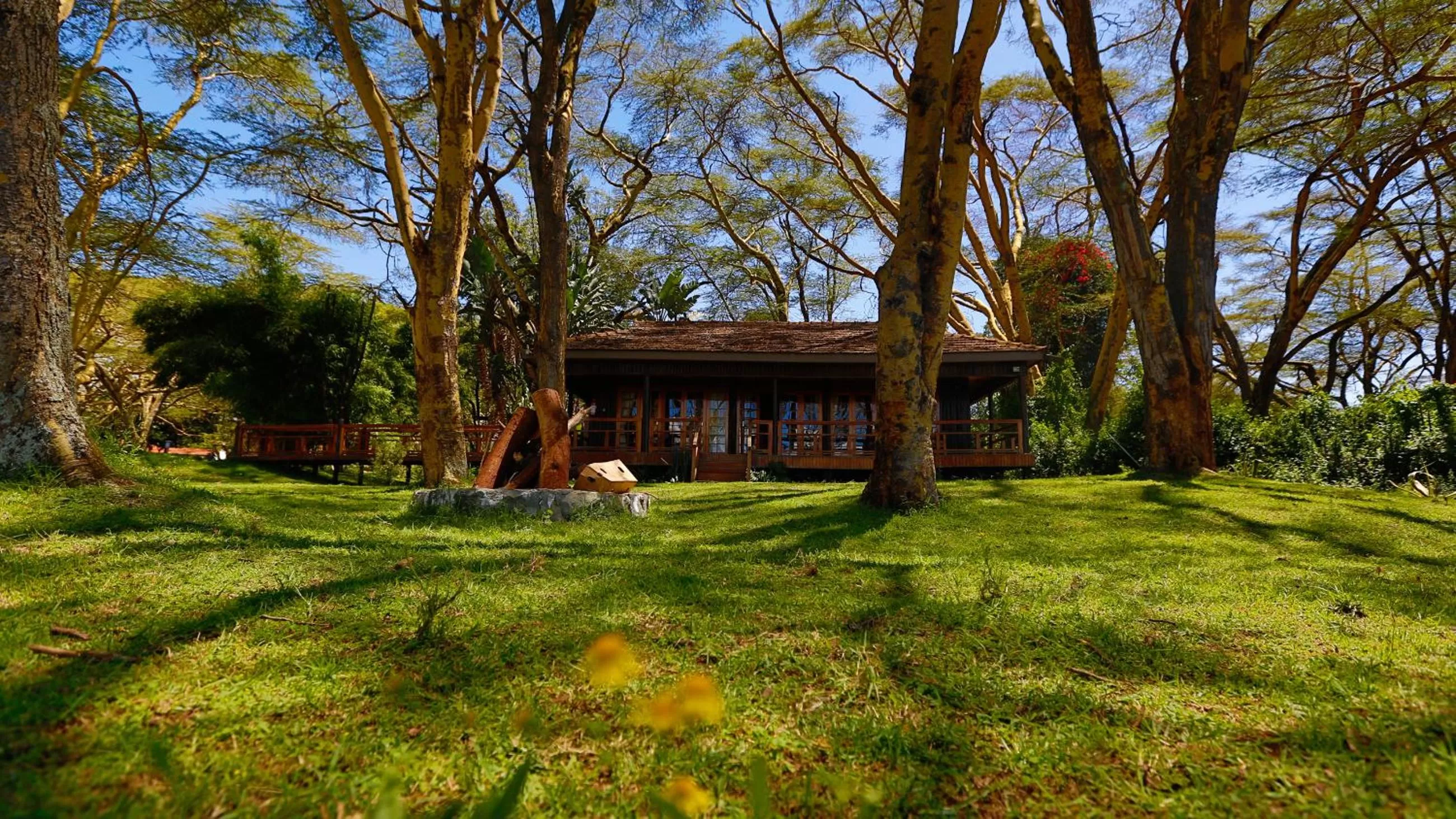 Garden view in Muthu Lake Naivasha Country Club, Naivasha