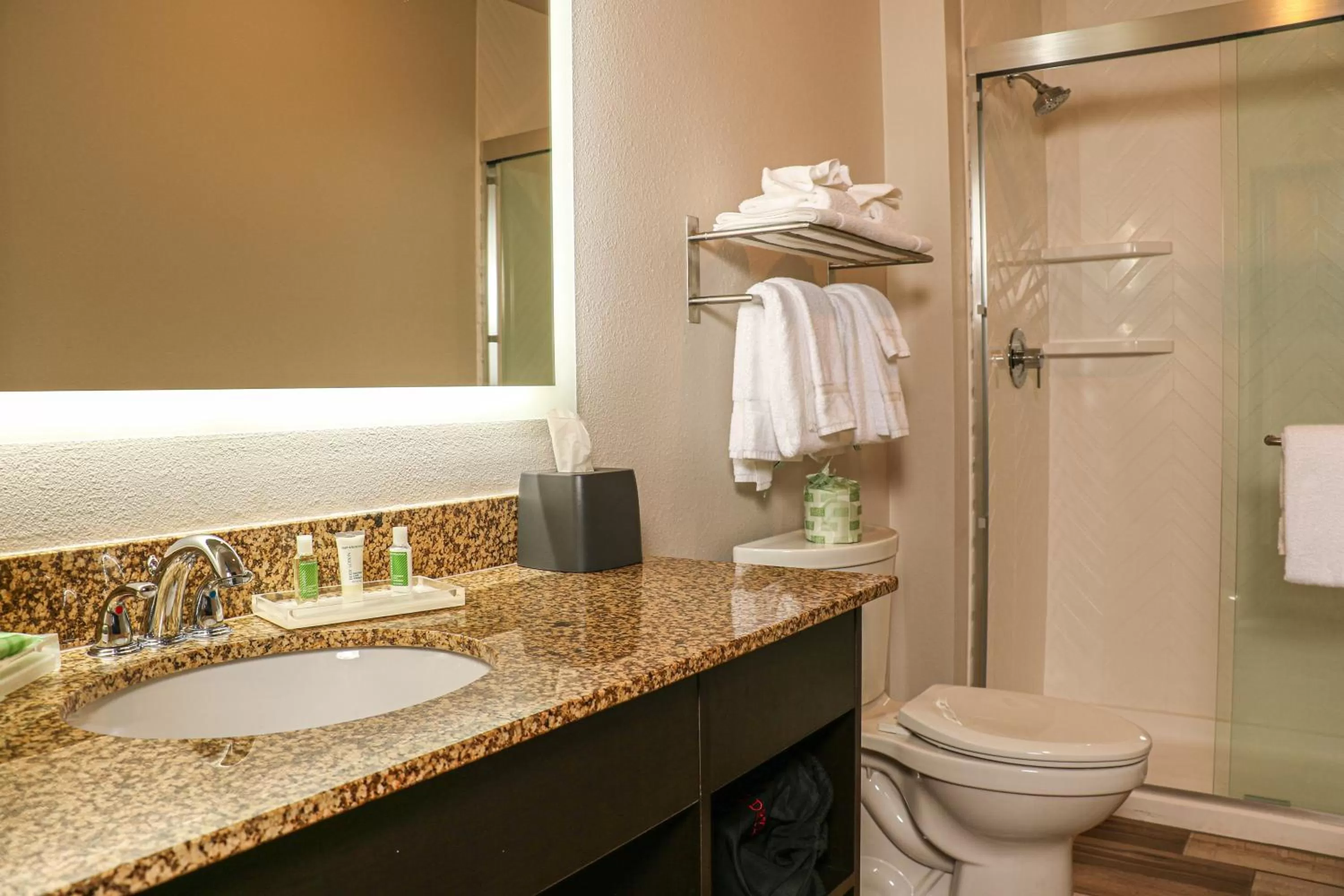 Bathroom in Holiday Inn Clarkston - Lewiston by IHG