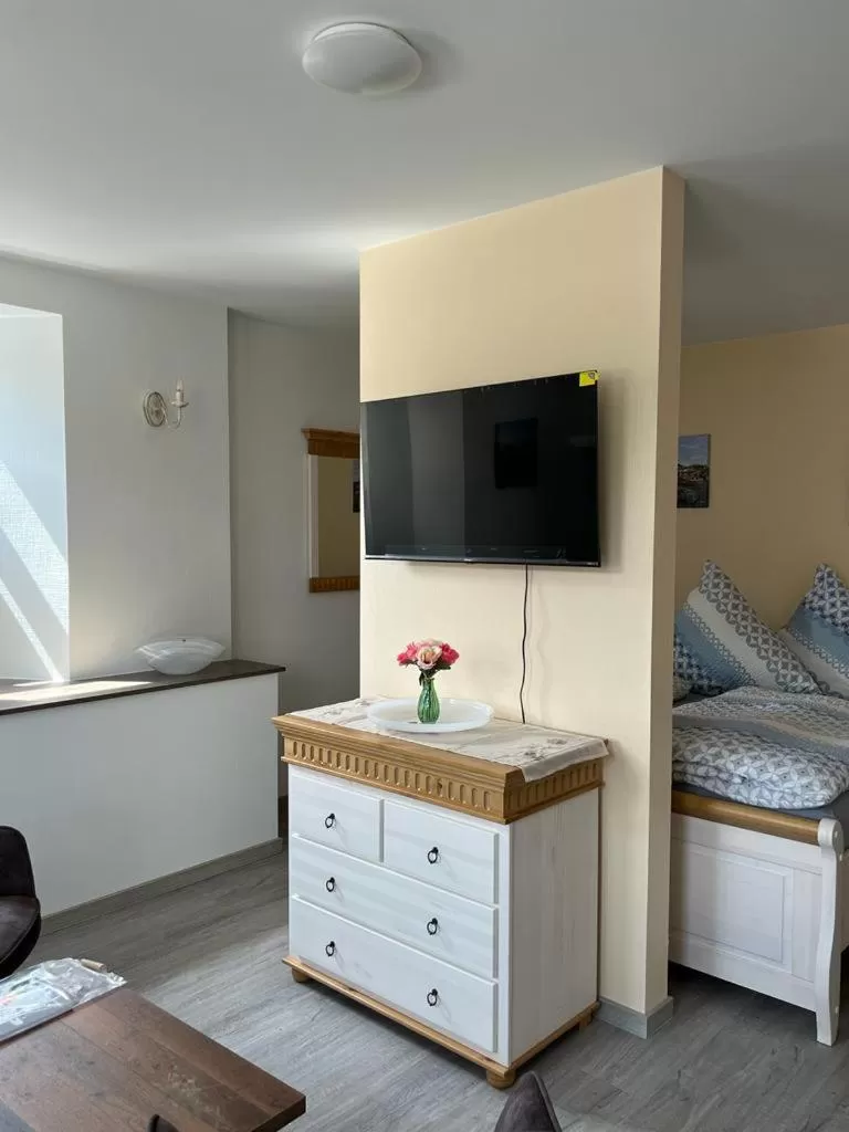 TV/Entertainment Center in Gasthaus Zur Weintraube