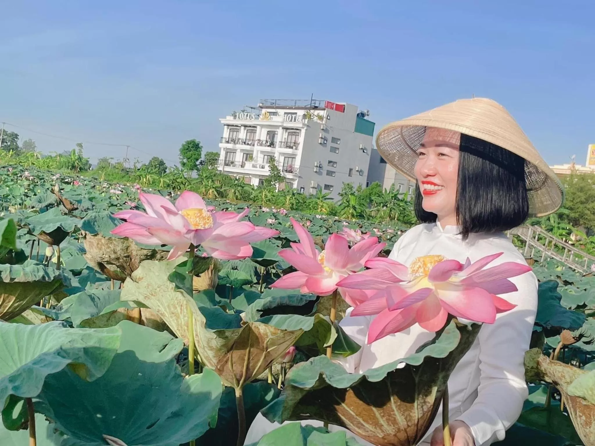 Property building in Lotus Hotel Ninh Bình