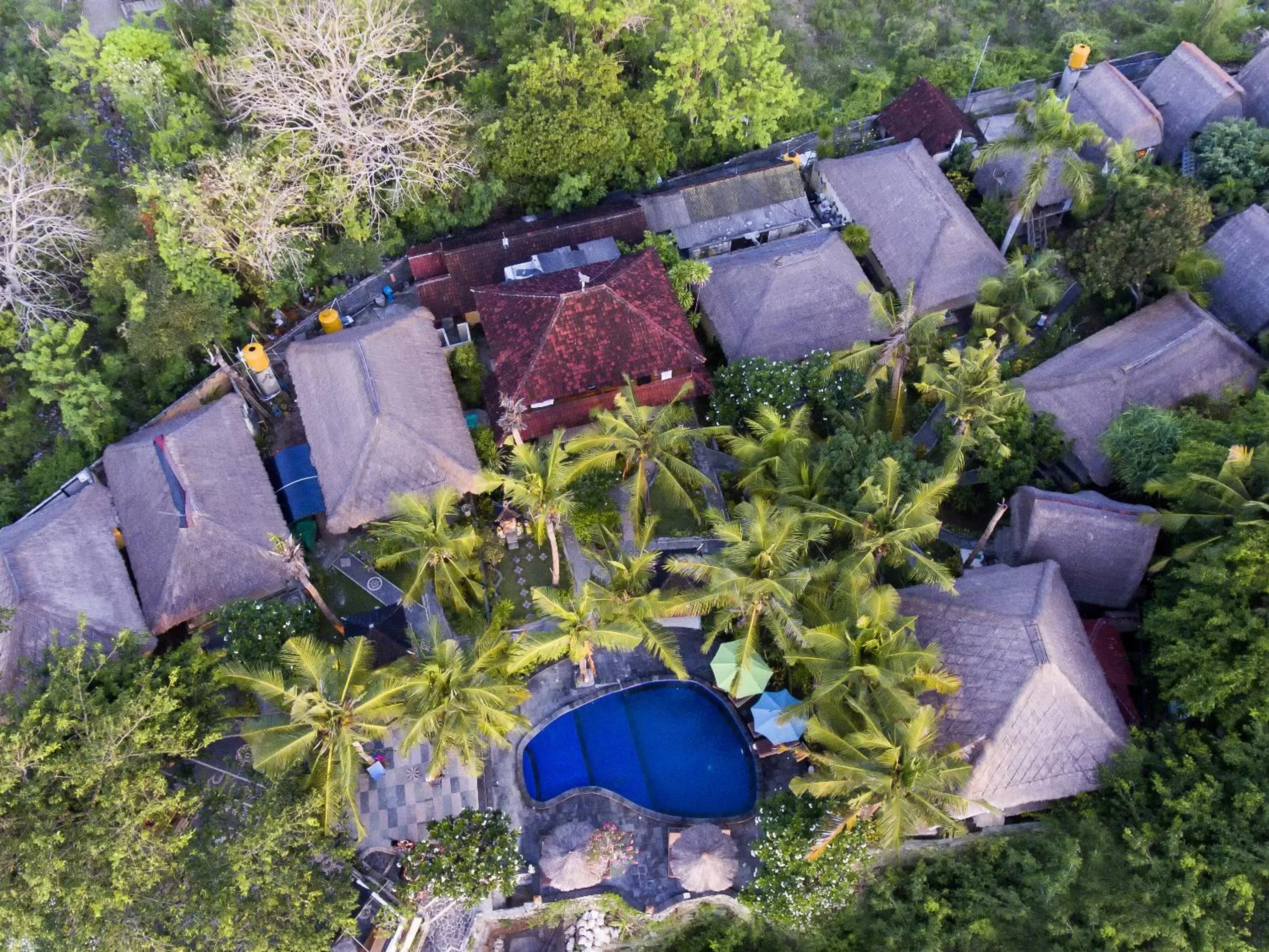 Mushroom Beach Bungalows