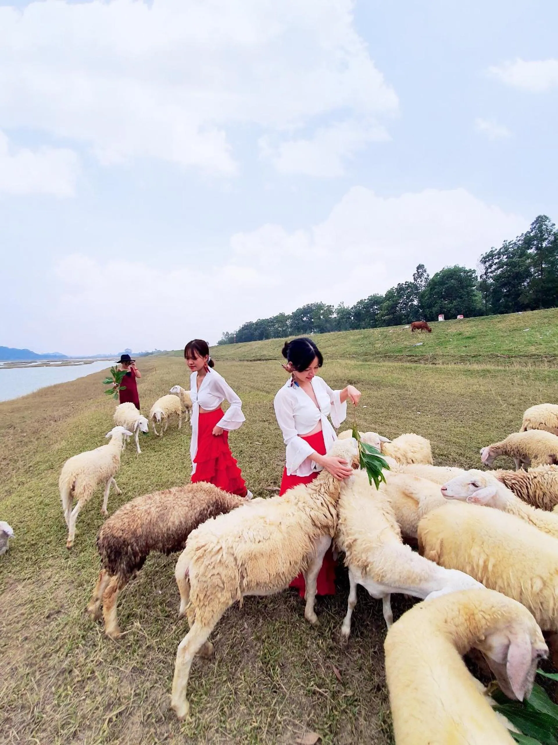 Tam Coc Mountain View Homestay