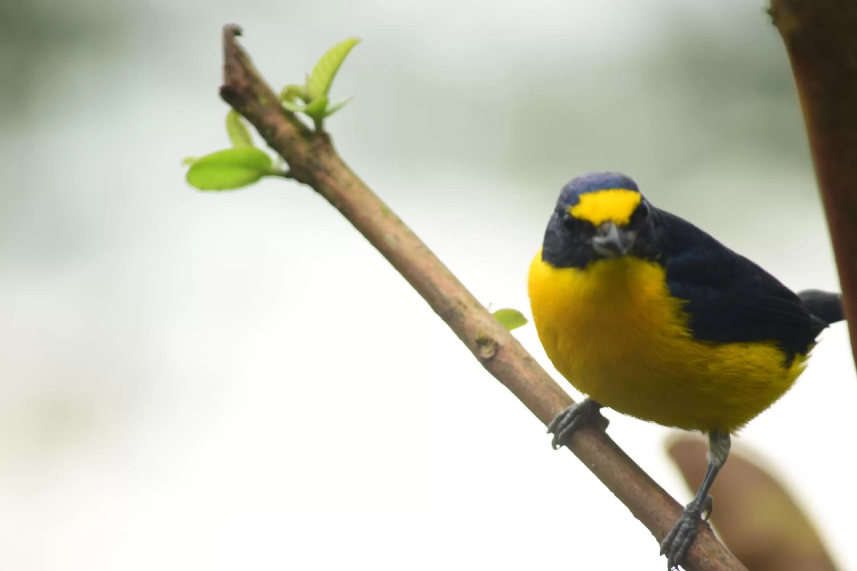 Activities in Cabañas del Rio