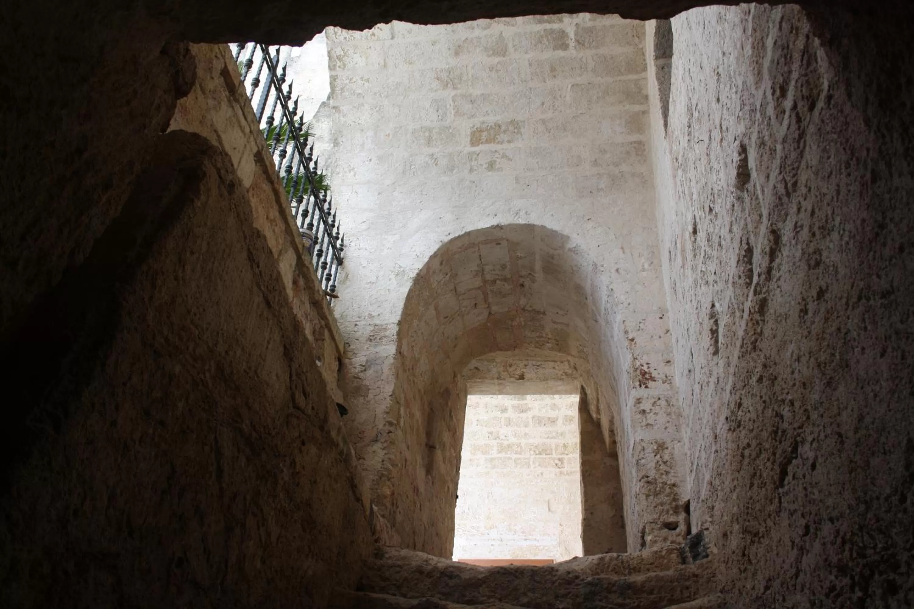 Area and facilities in Castello Conti Filo