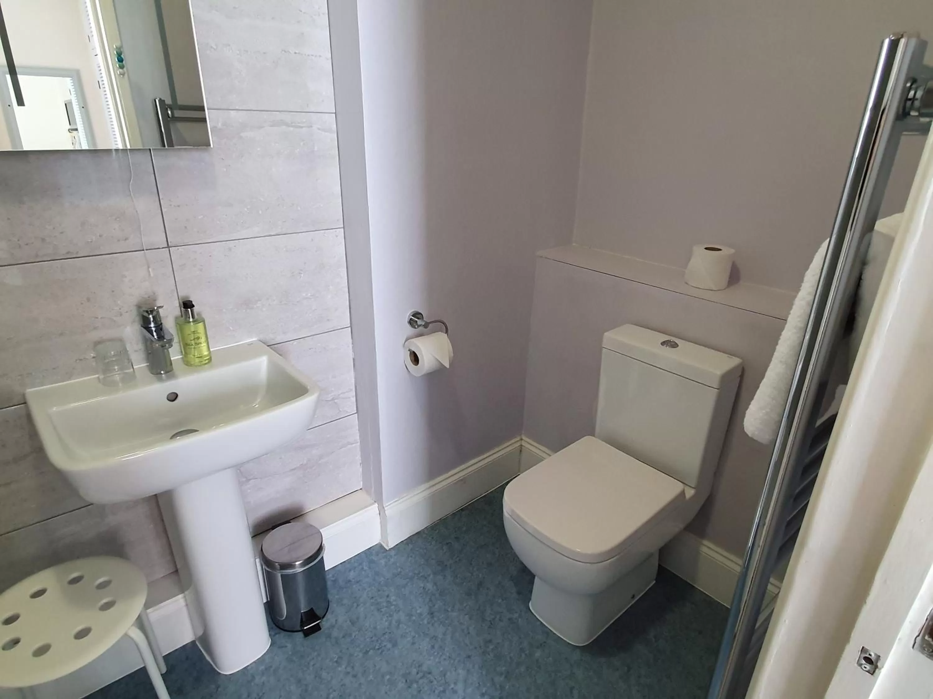 Toilet in Alexandra Hotel