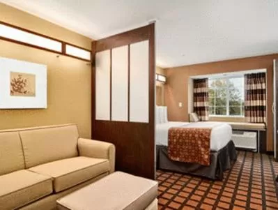 Photo of the whole room, Bed in Microtel Inn & Suites by Wyndham Ozark