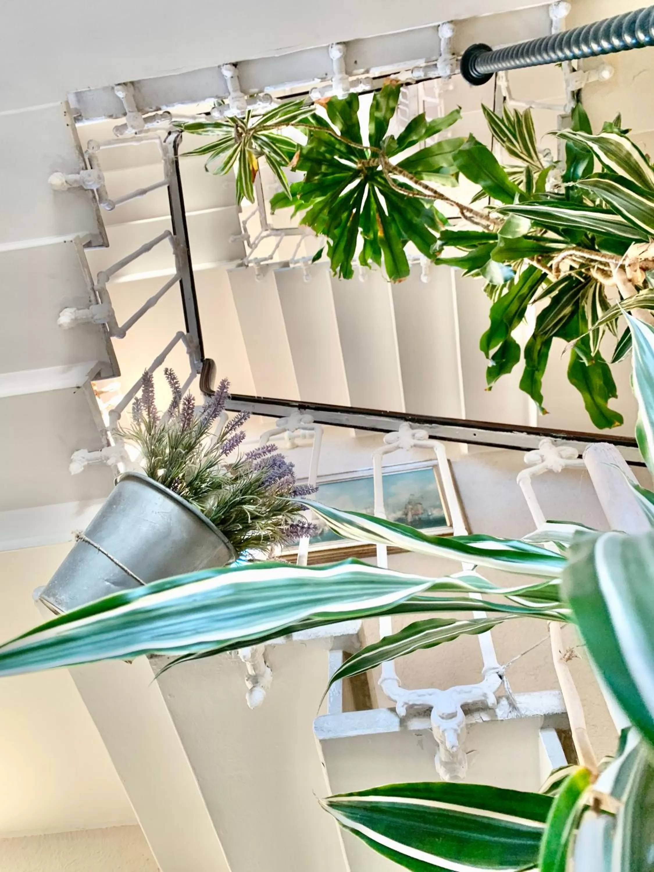 Hotel Castello Miramare