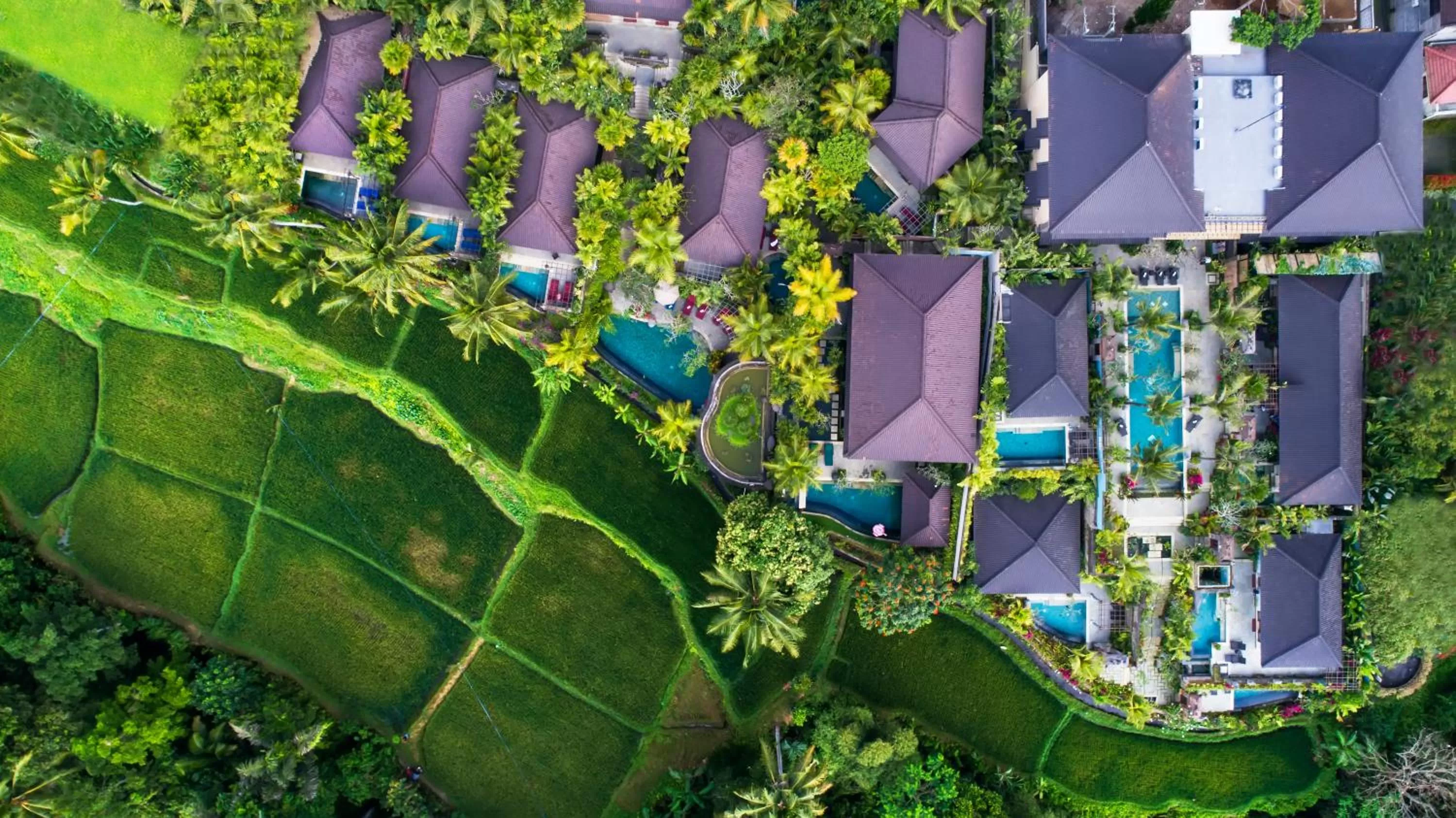 Neighbourhood in Dwaraka The Royal Villas