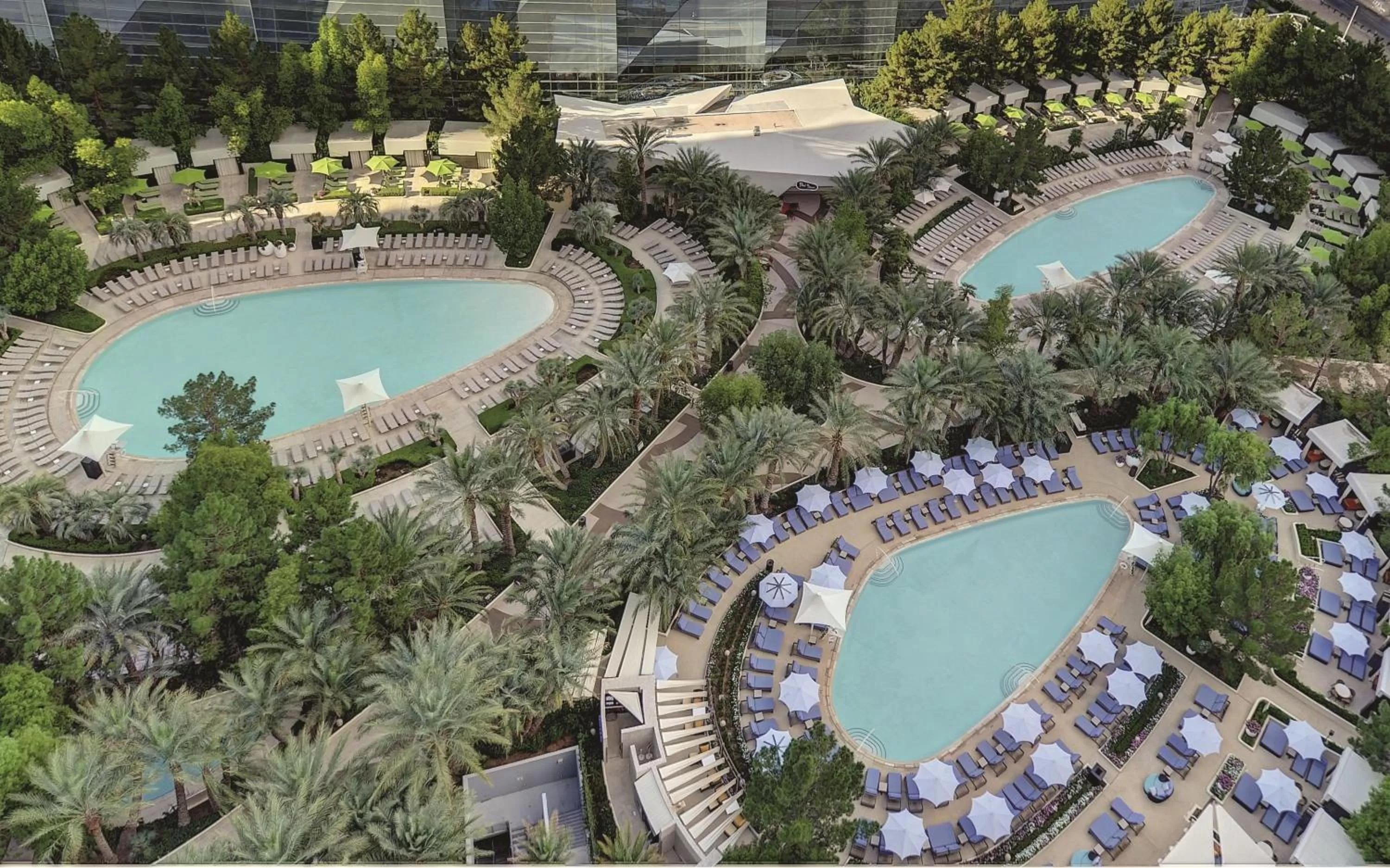 Swimming pool in ARIA Resort & Casino