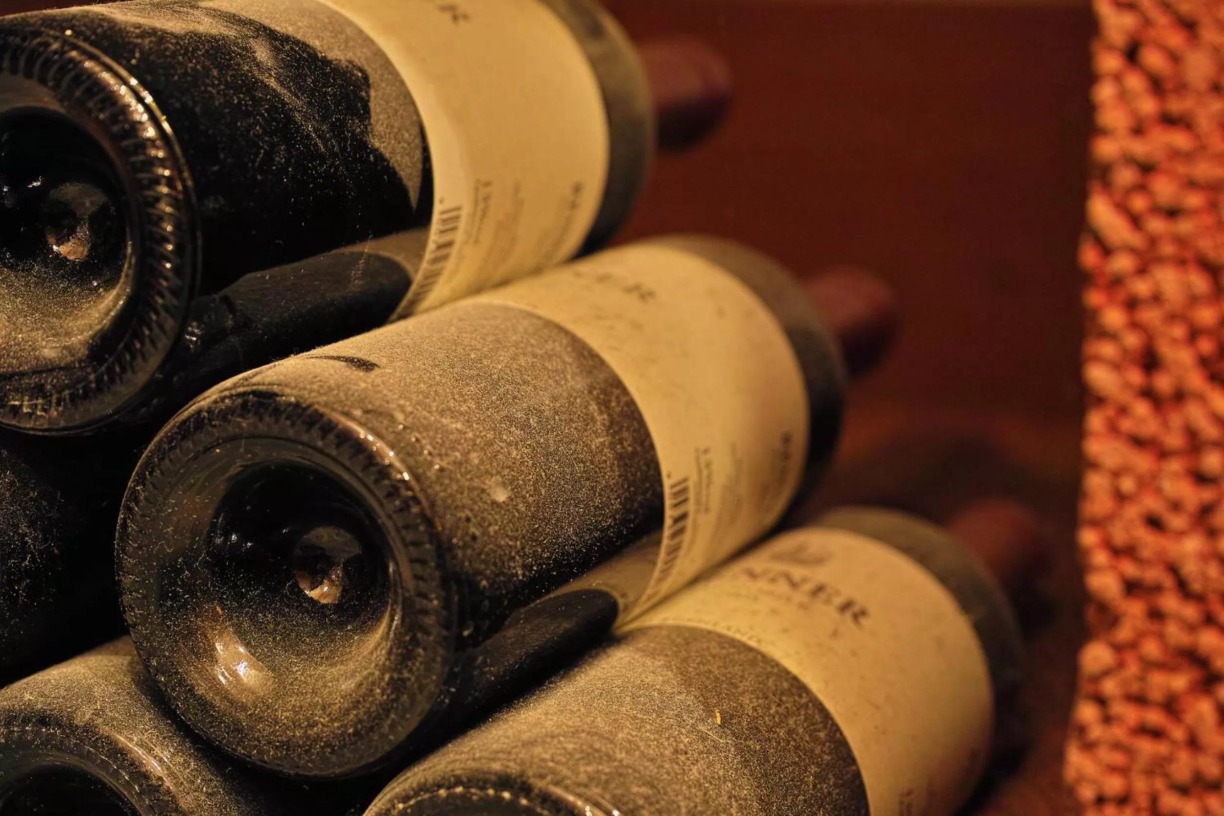 Alcoholic drinks in Boutique Hotel Balm