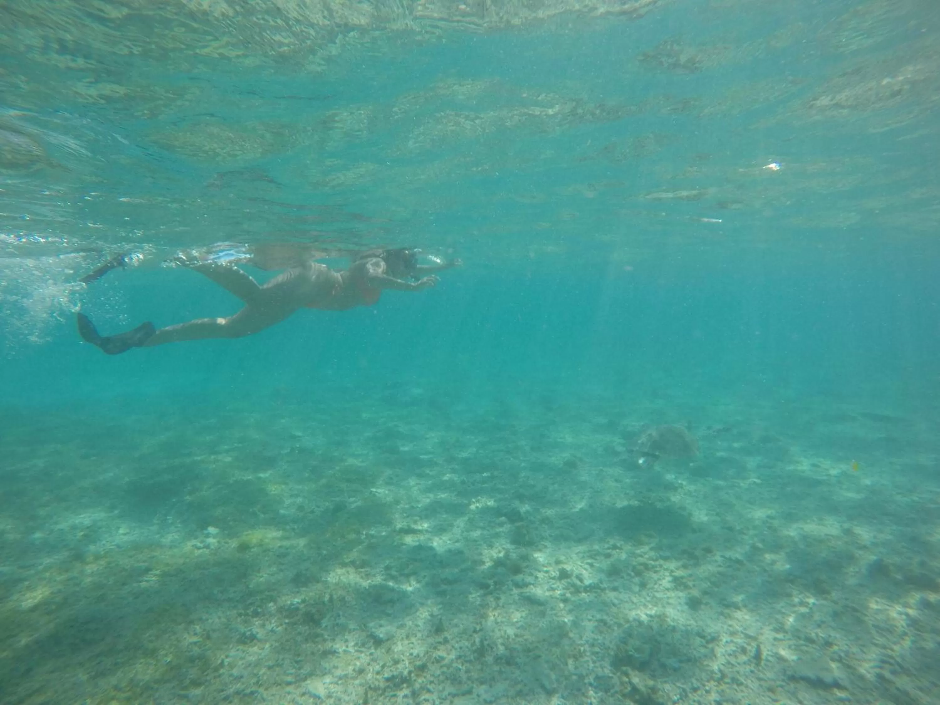 Snorkeling in Gita Gili Bungalow