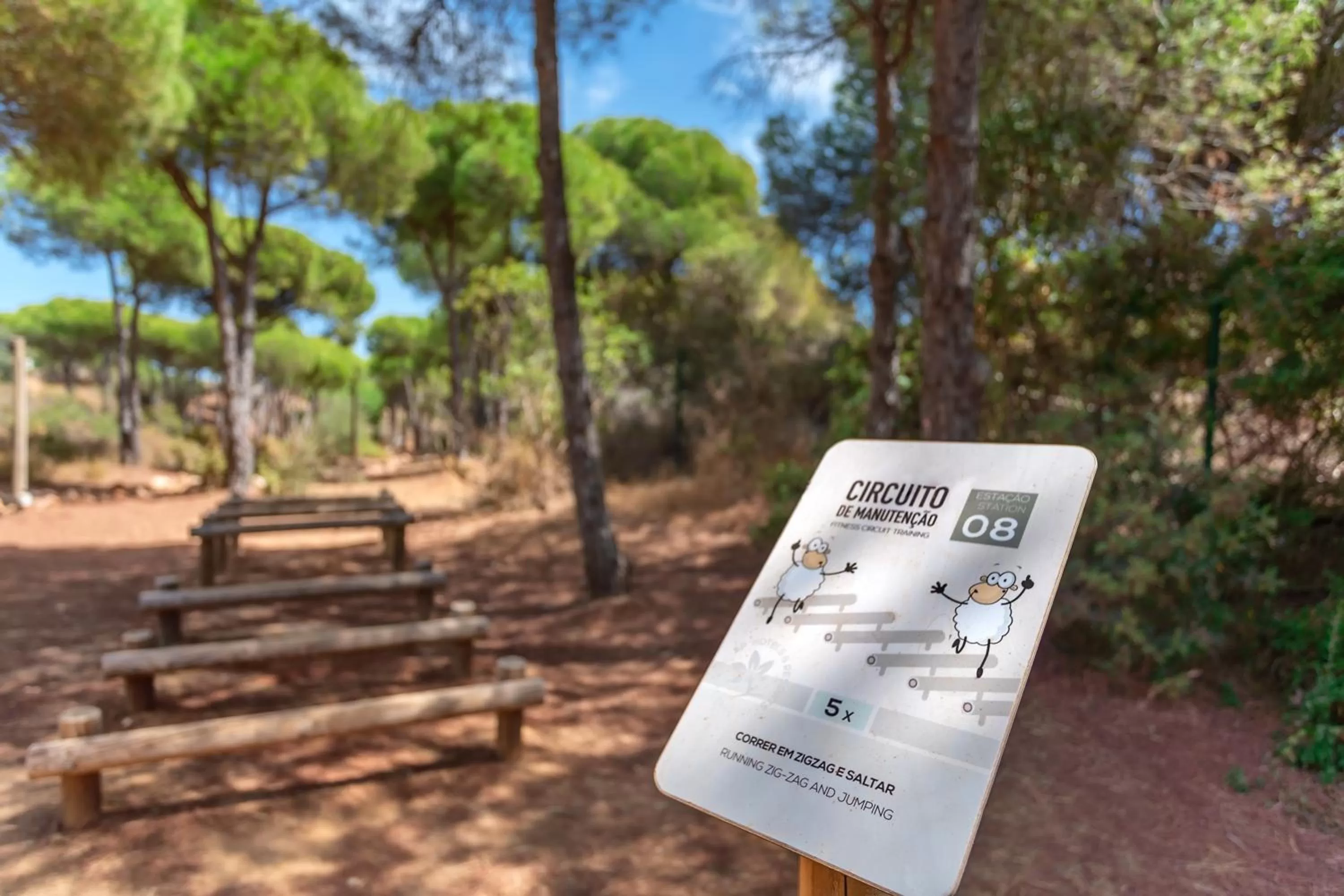 Activities in AP Adriana Beach Resort