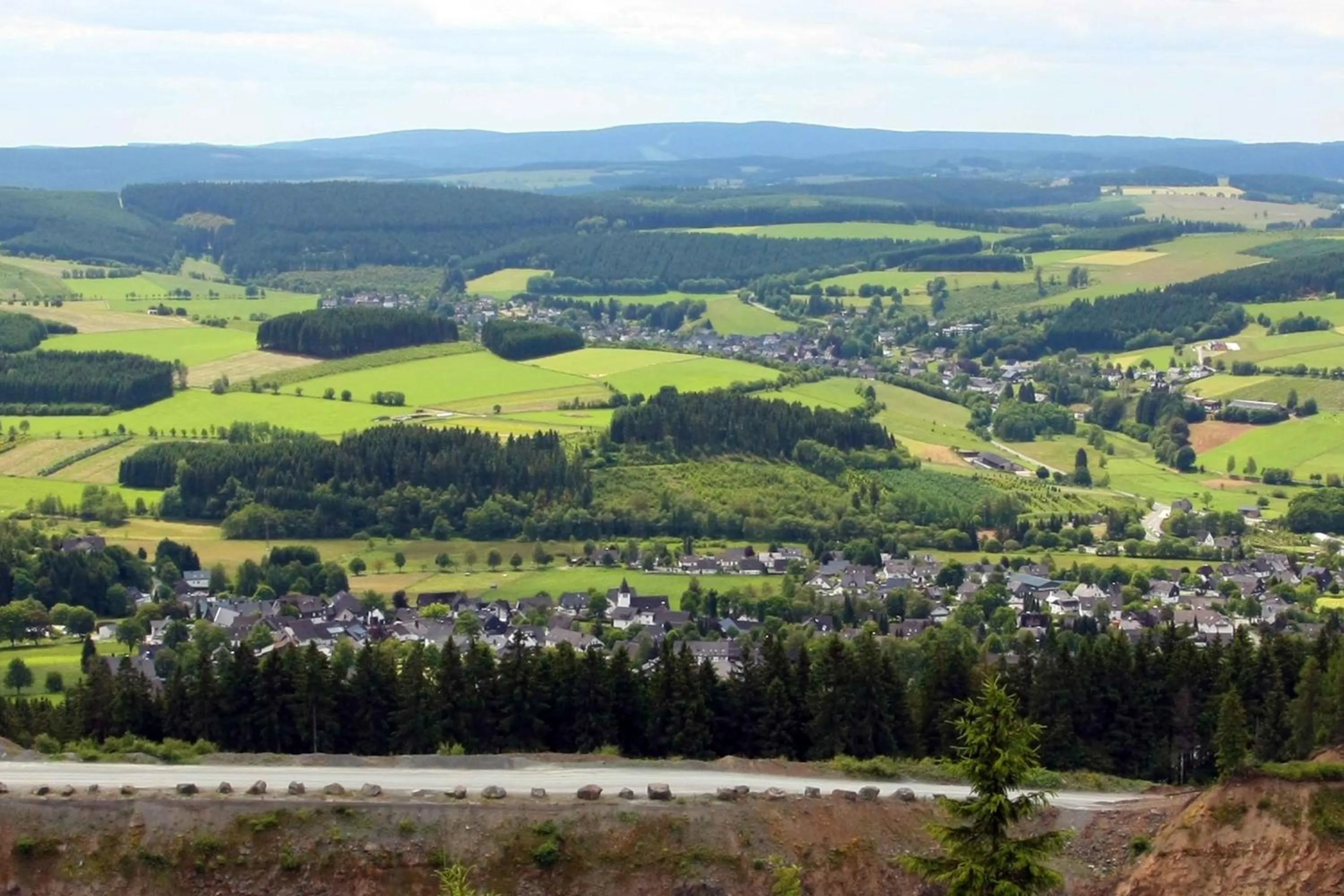Natural landscape in Hotel Niedersfeld-Winterberg