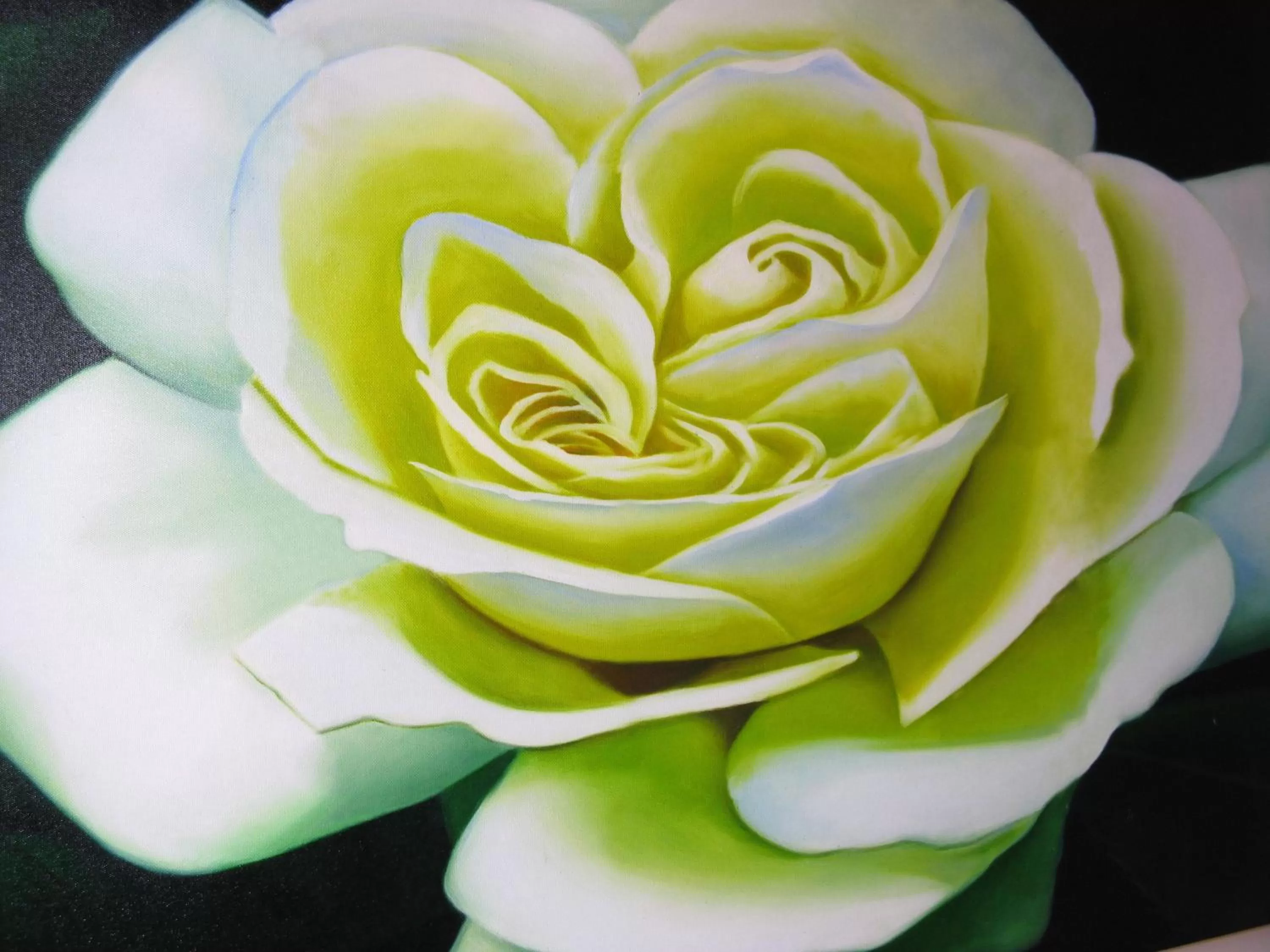 Other in Mio Hotel Firenze