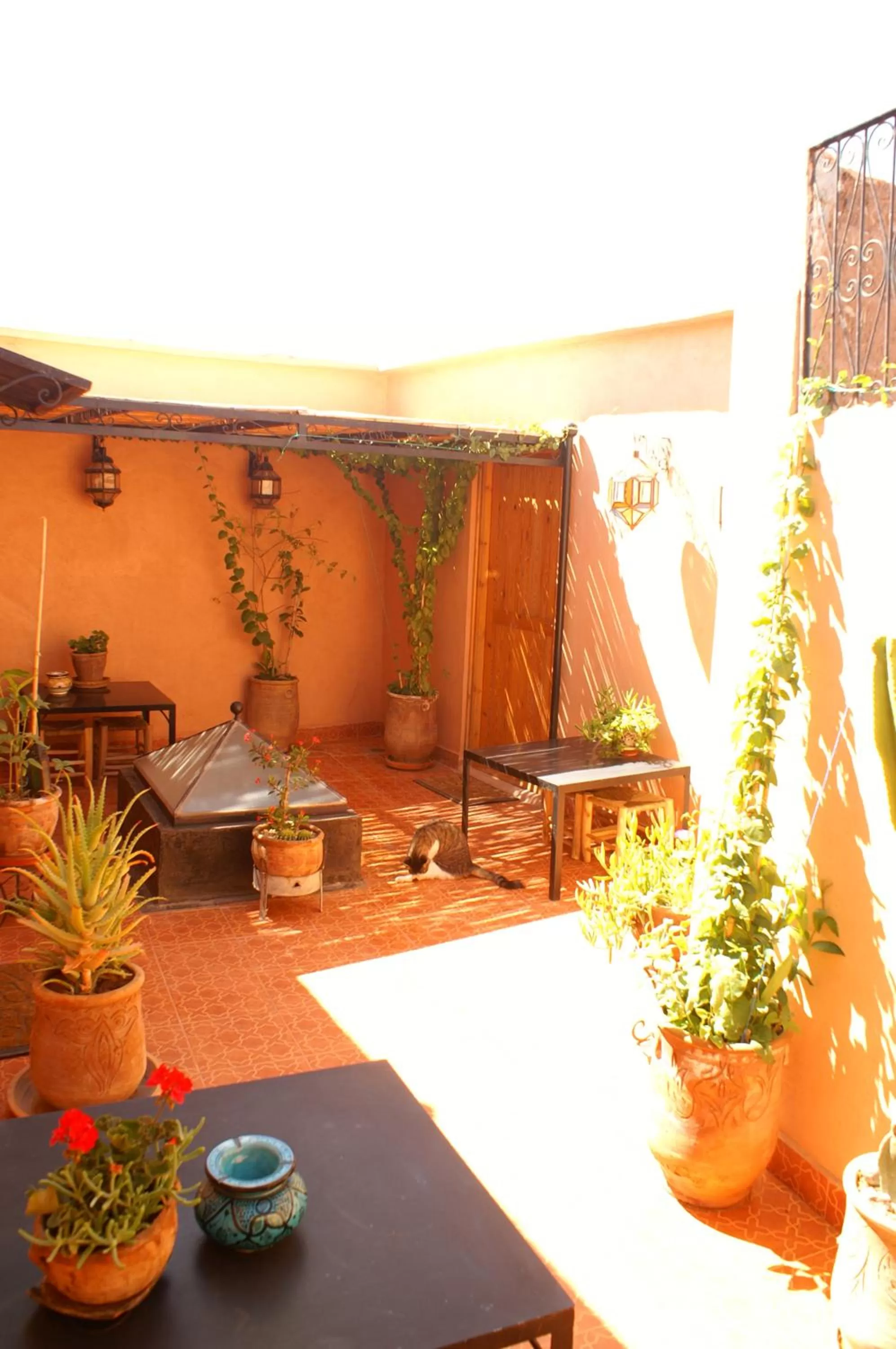 Balcony/Terrace in Maison d'hôtes Dar El Nath