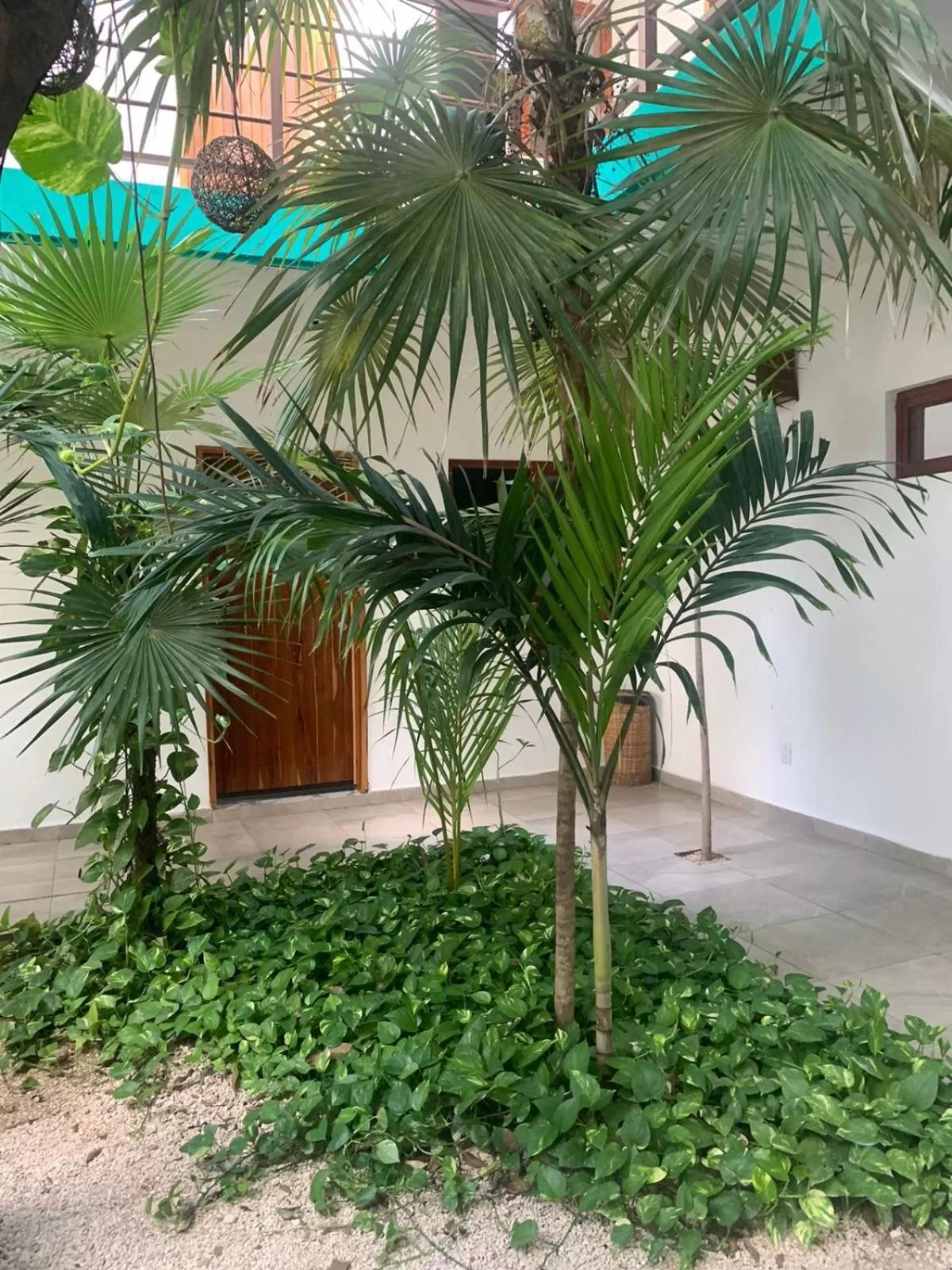 Property building in Los Arcos Hotel - TULUM