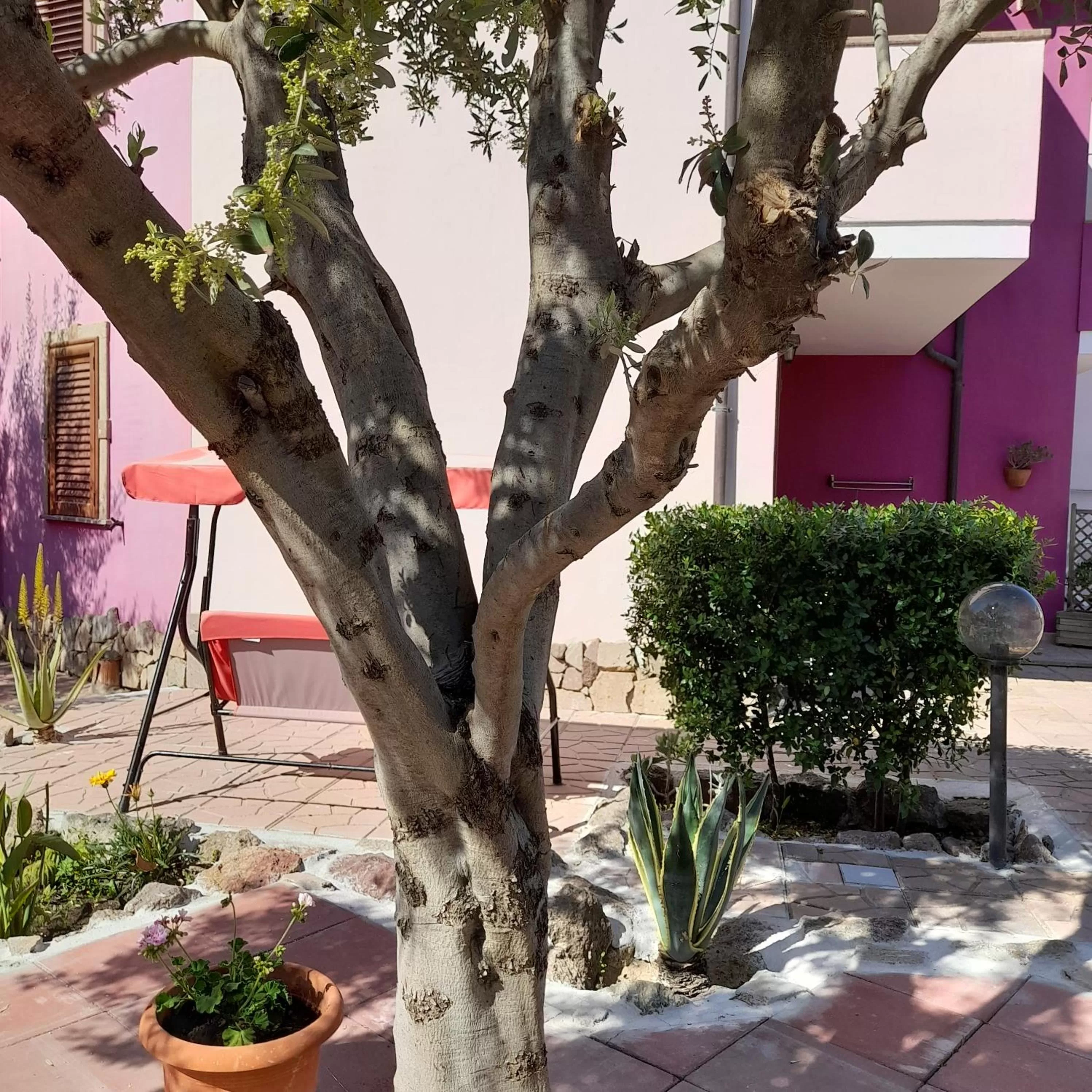 Garden view in La Fortezza casa vacanze & appartament