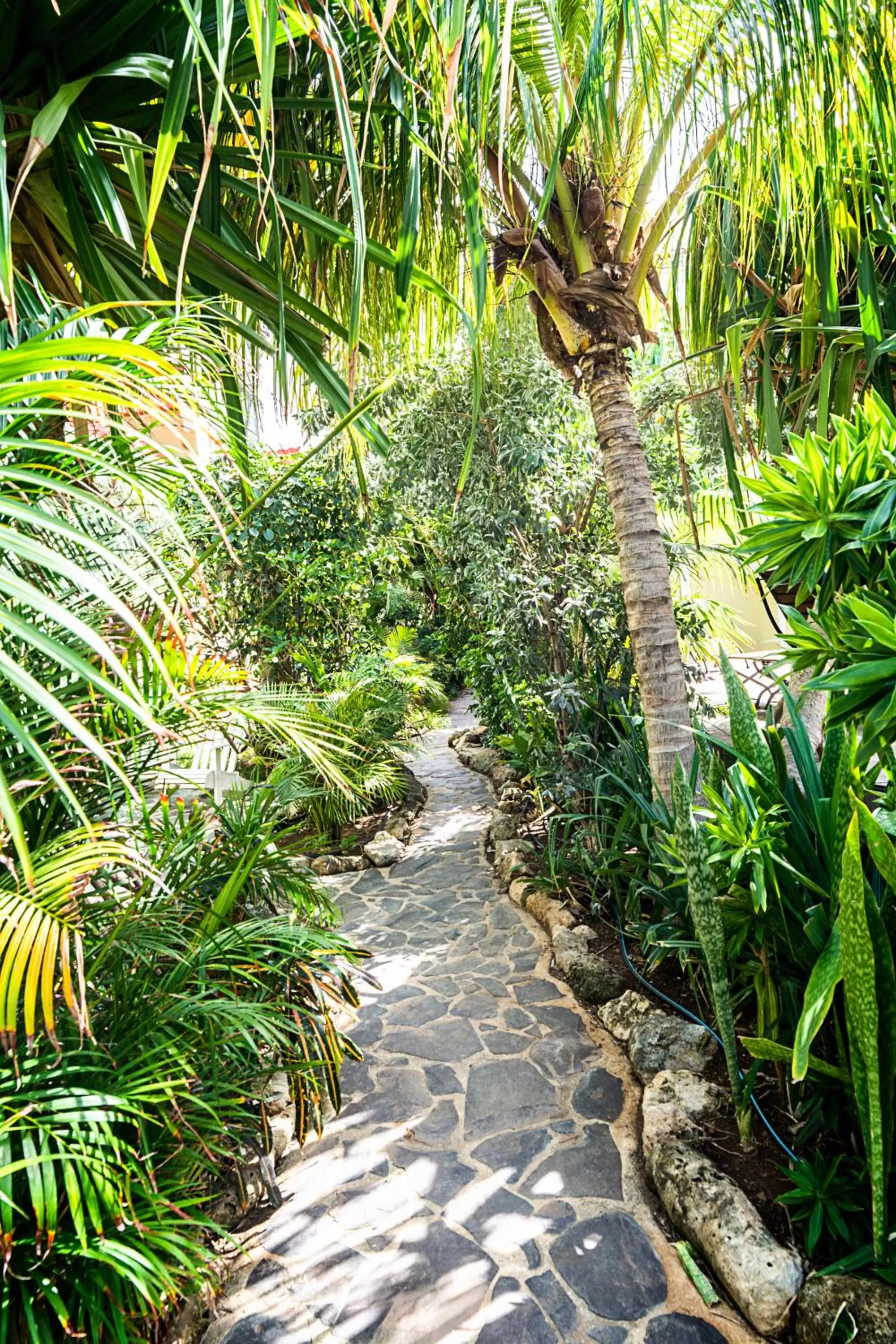 Garden in Pietermaai Boutique Hotel
