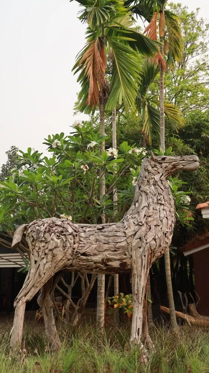 Natural landscape in ANANTAYA CHIANGMAI BOUTIQUE HOTEL