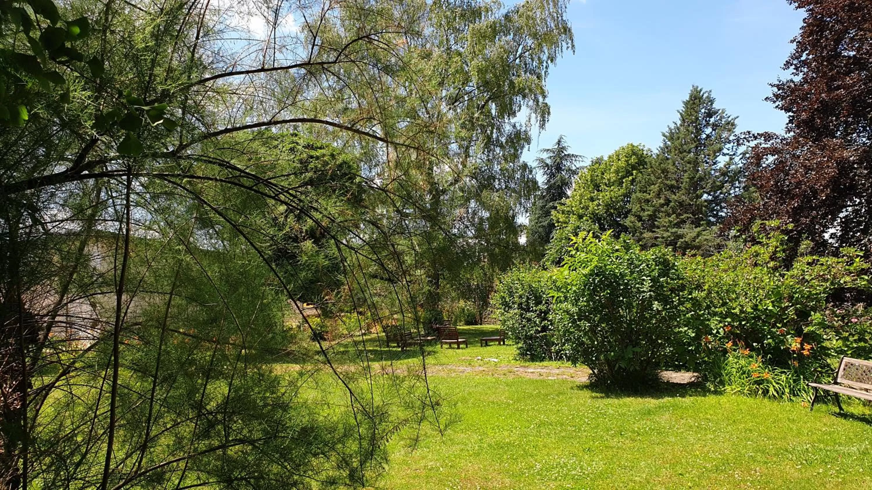 De passage chez Lili