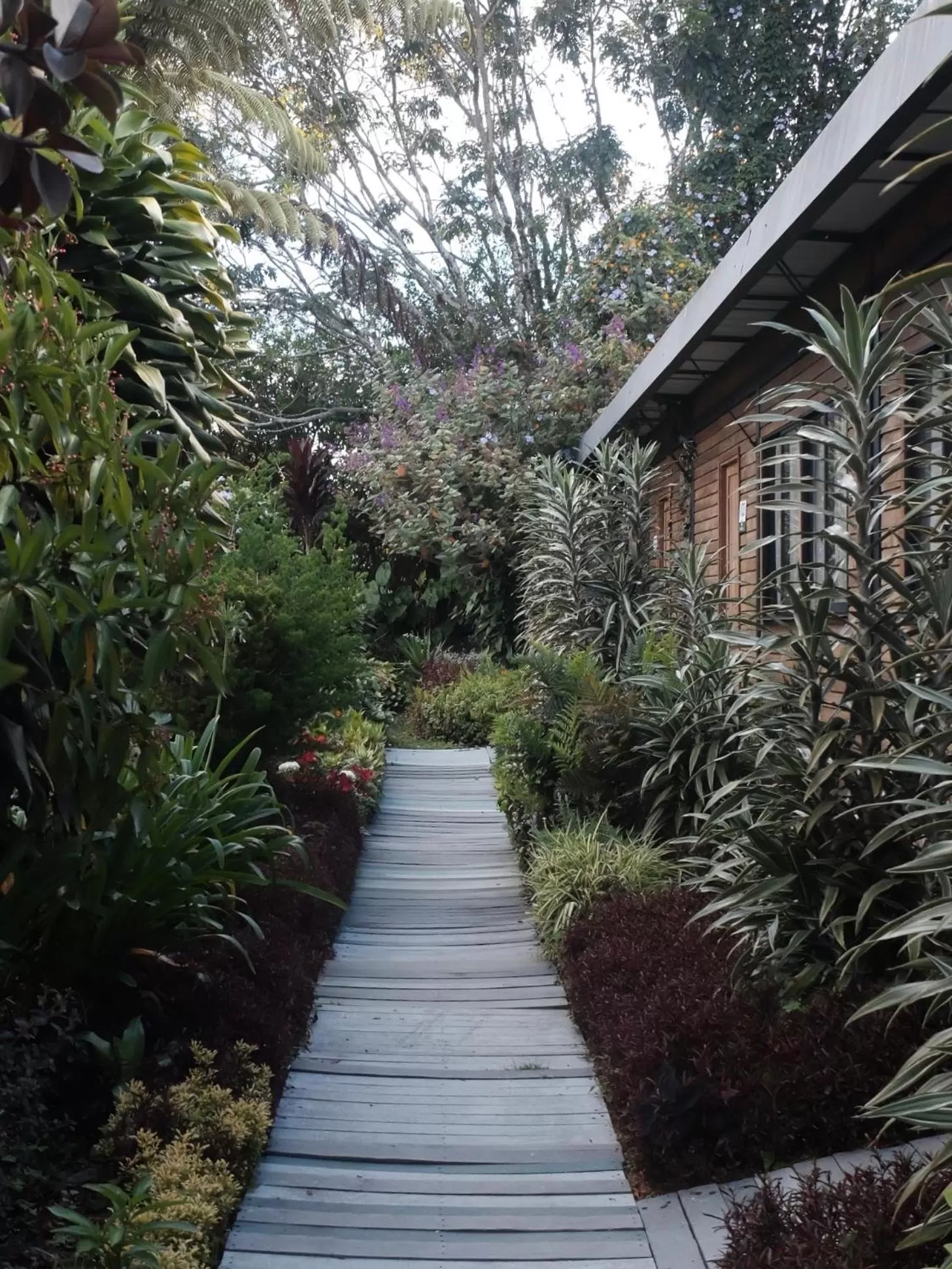 Garden view in ALTO LODGING Centro de Entrenamiento Deportivo y Negocios, a 2 pasos del Aeropuerto JMC, Transporte Incluido