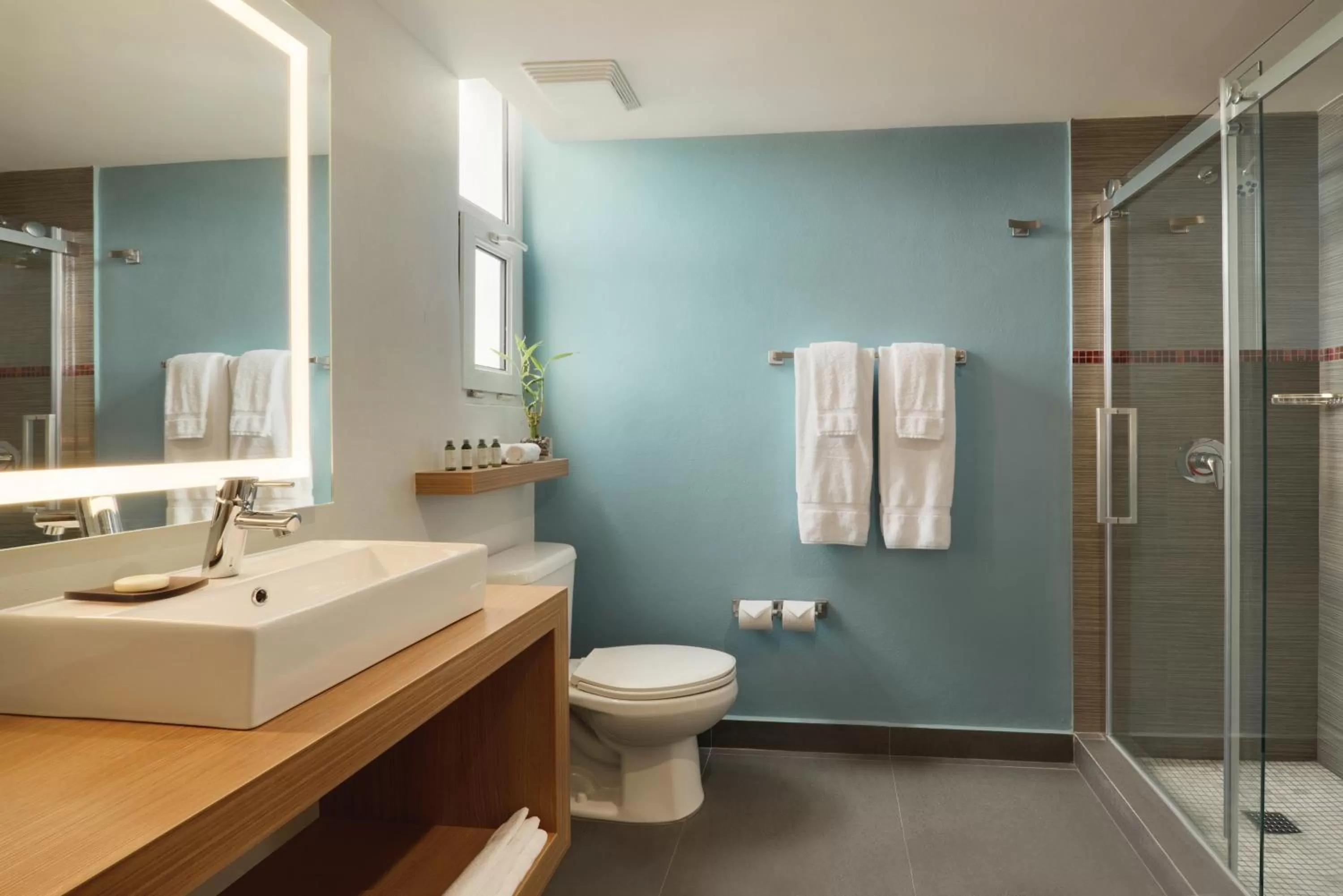 Shower in TRYP by Wyndham Isla Verde