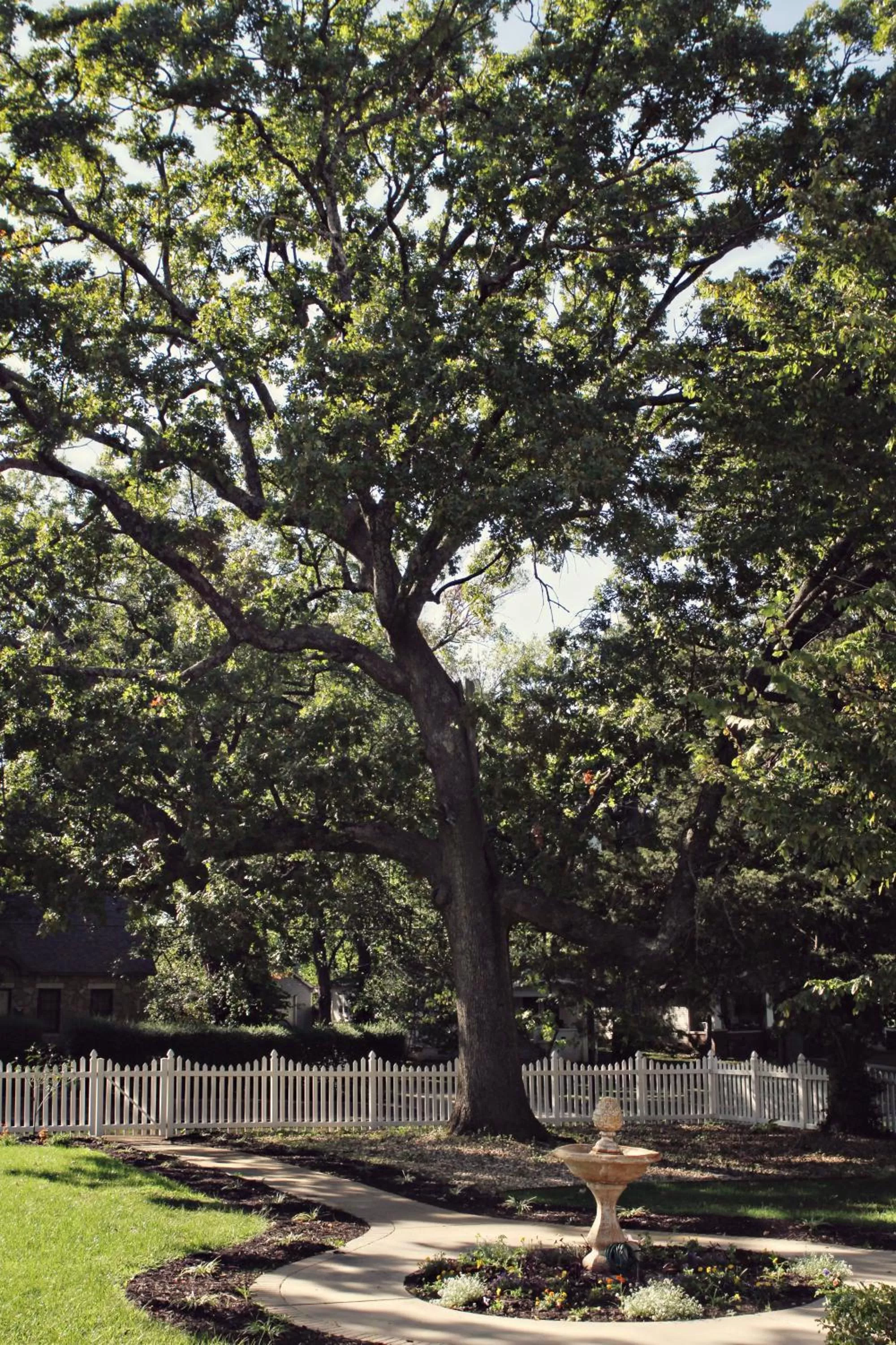 The Victoria Bed & Breakfast