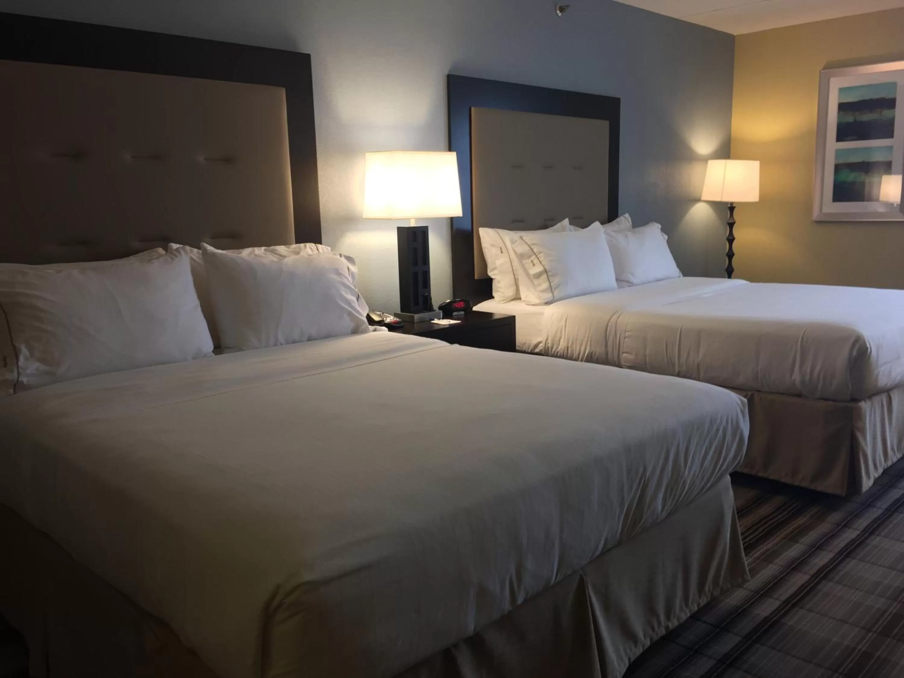 Photo of the whole room, Bed in Holiday Inn Express Chicago NW - Arlington Heights by IHG