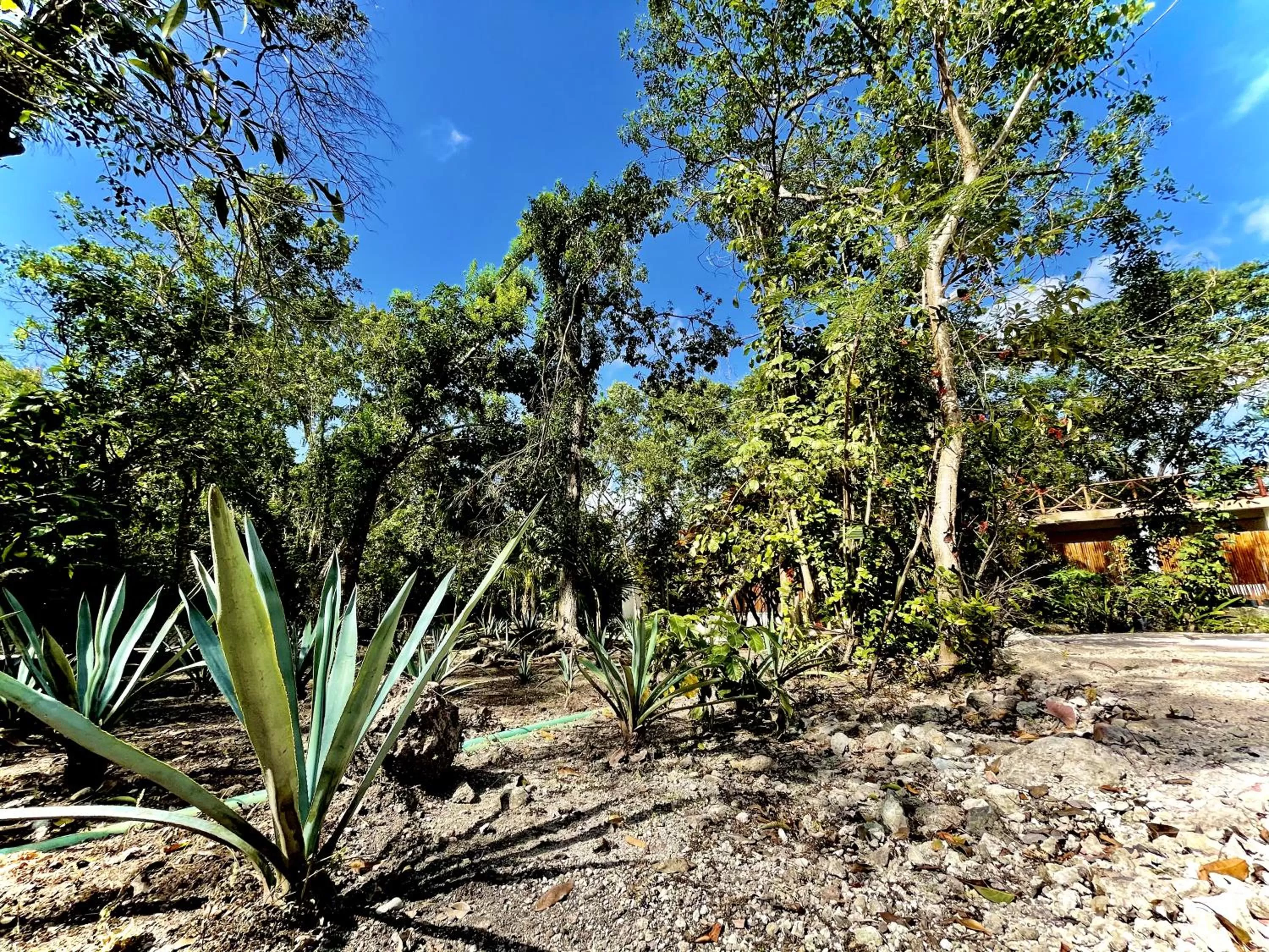 Property building in Hotel Tequila Cancun