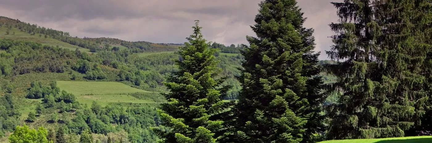 Mountain view in Hotelet Del Bac