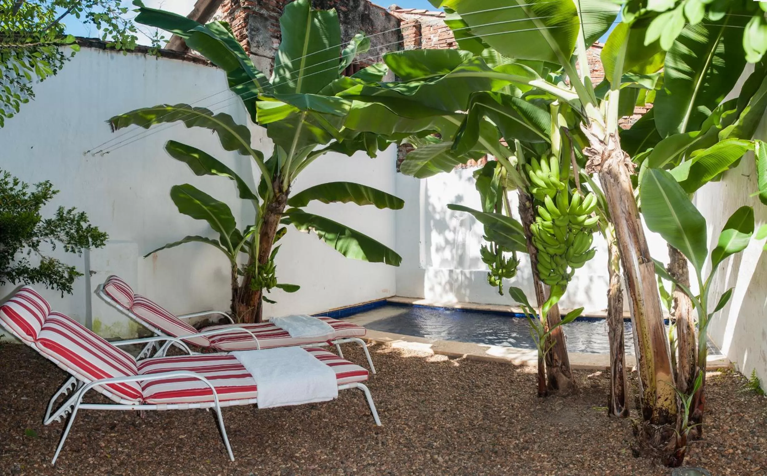 Day, Swimming Pool in Portal de la Marquesa