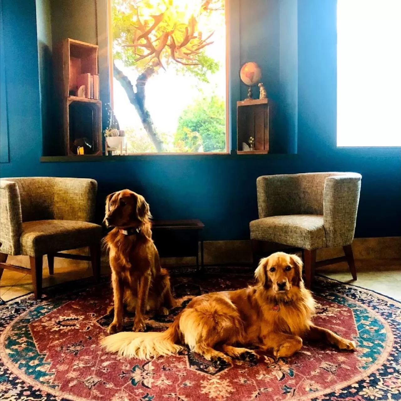 Lobby or reception in Maverick Hotel Eugene Near University, an Ascend Collection Hotel