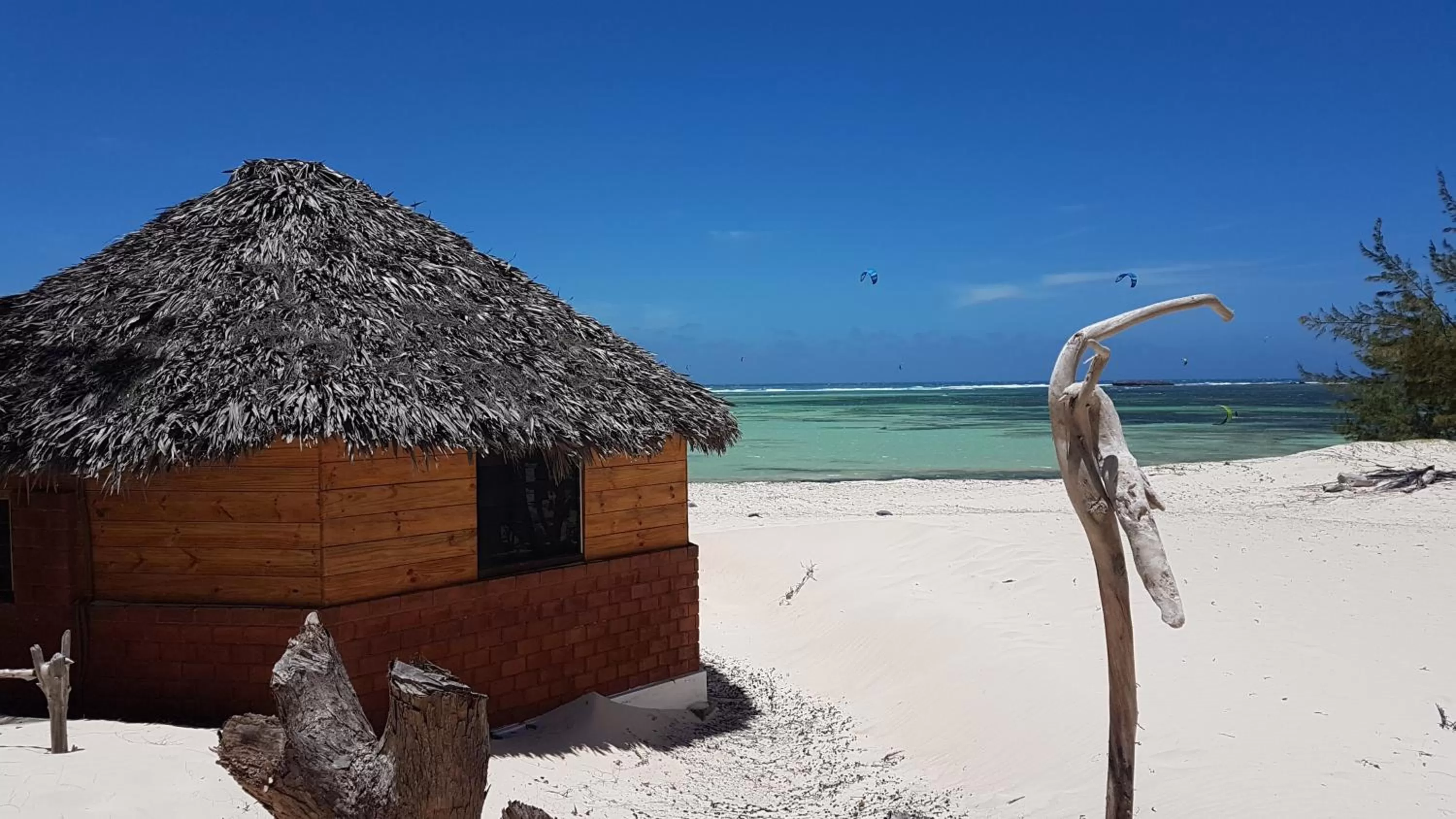 Ocean Lodge Kite & Windsurf