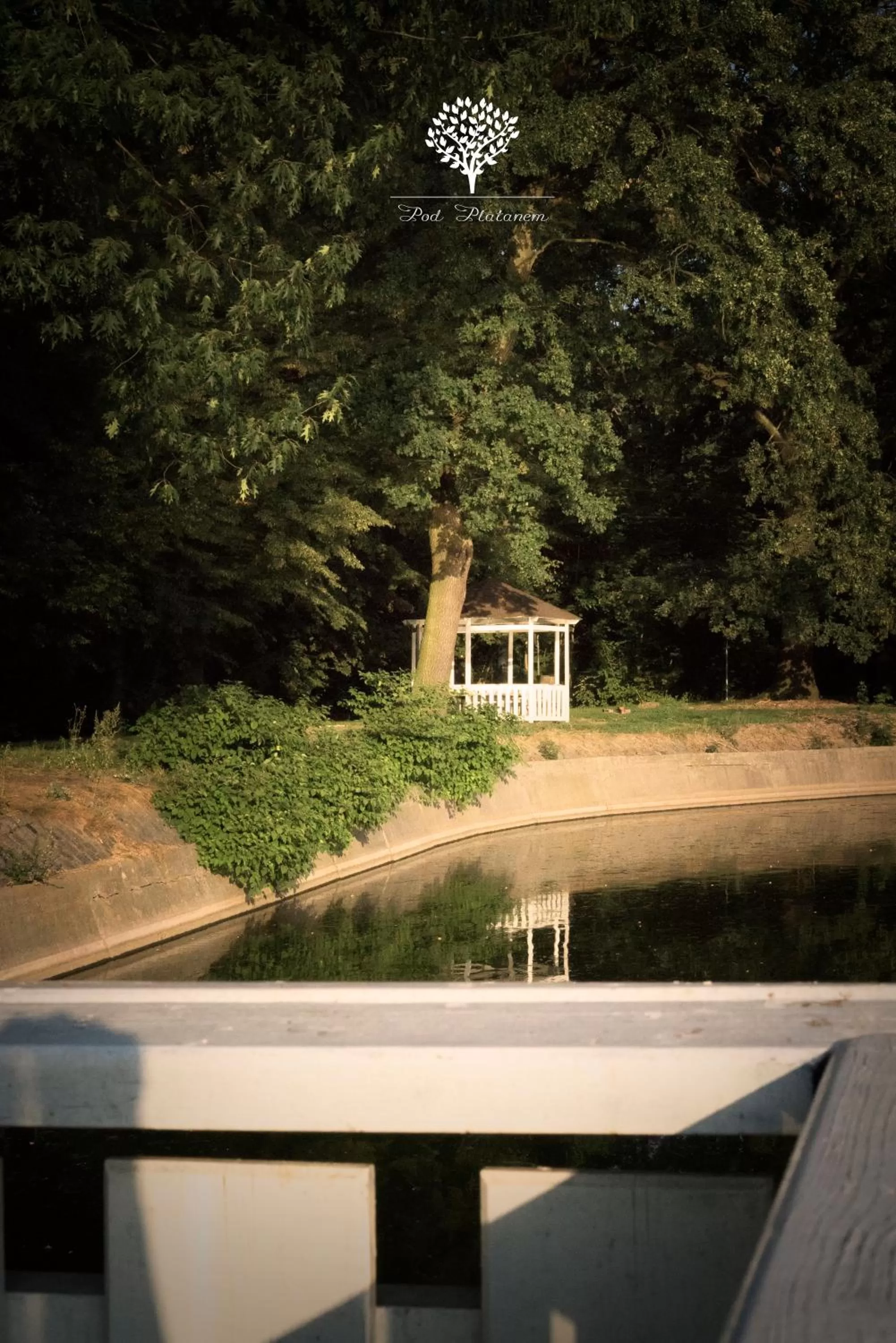 Pod Platanem Gliwice