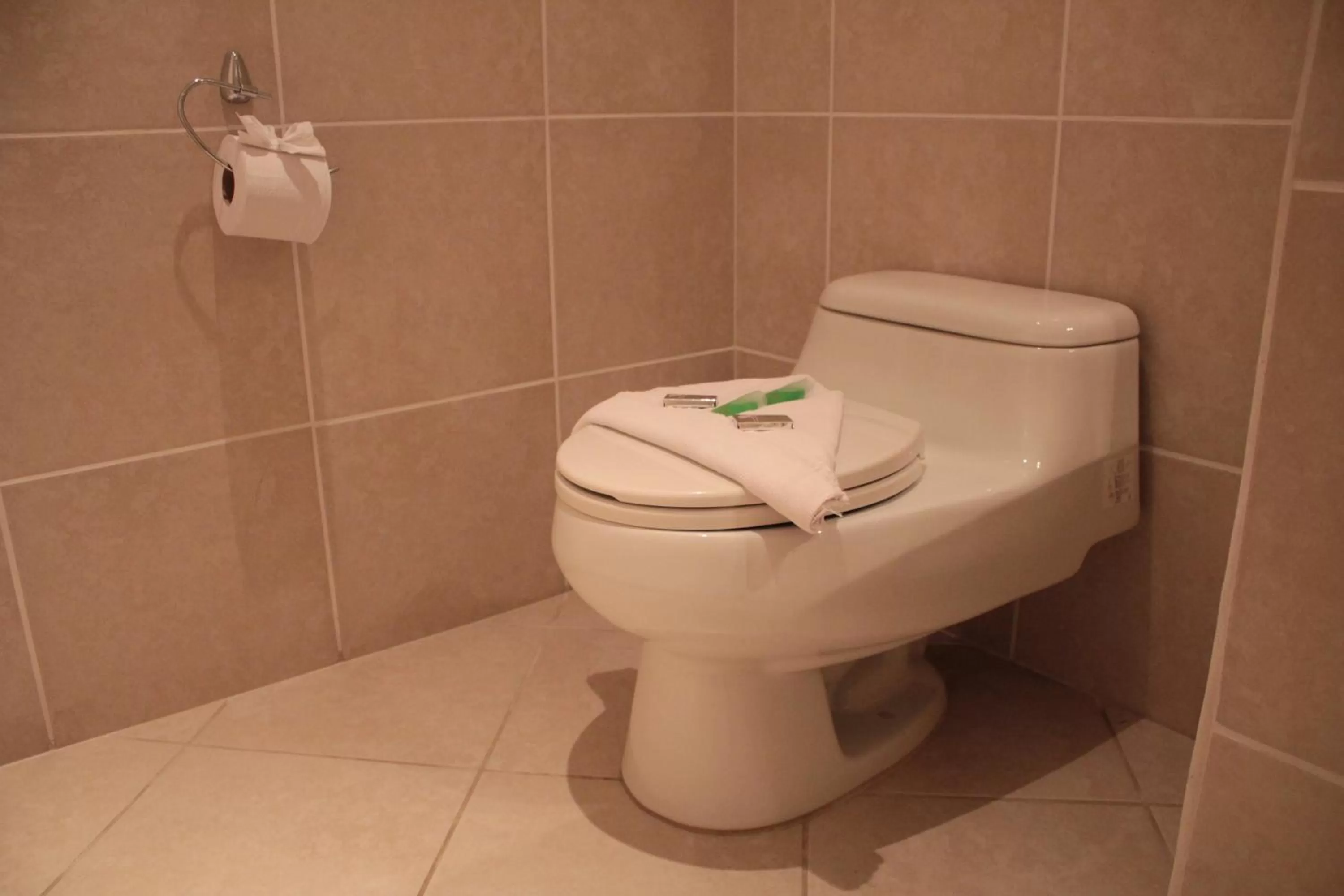 Toilet in Hotel Luisiana