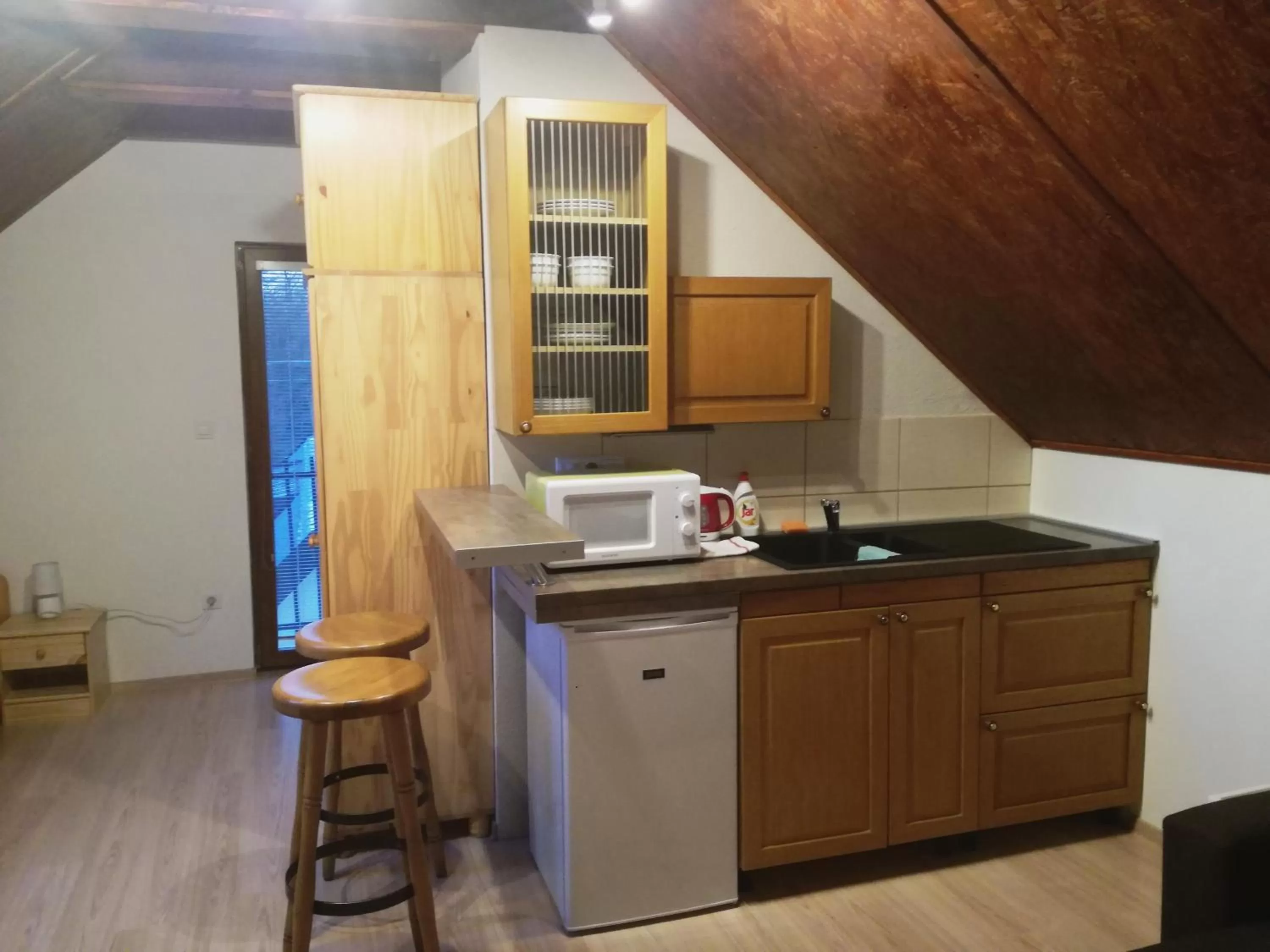 Coffee/tea facilities, Kitchen/Kitchenette in Spa & Pool Apartment Hotel - Restaurant VILLA IVICA