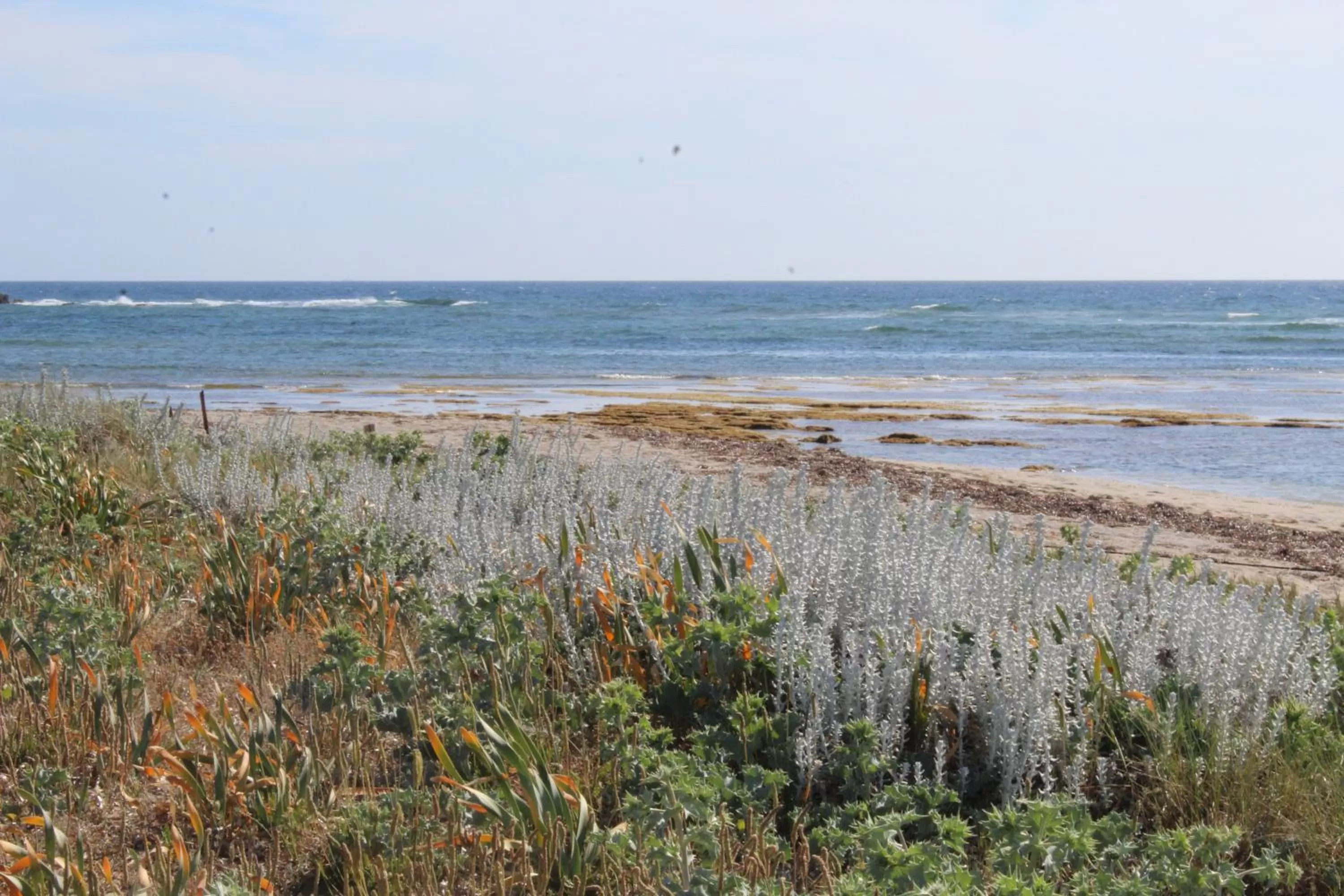 Beach in Bed & Breakfast Paui
