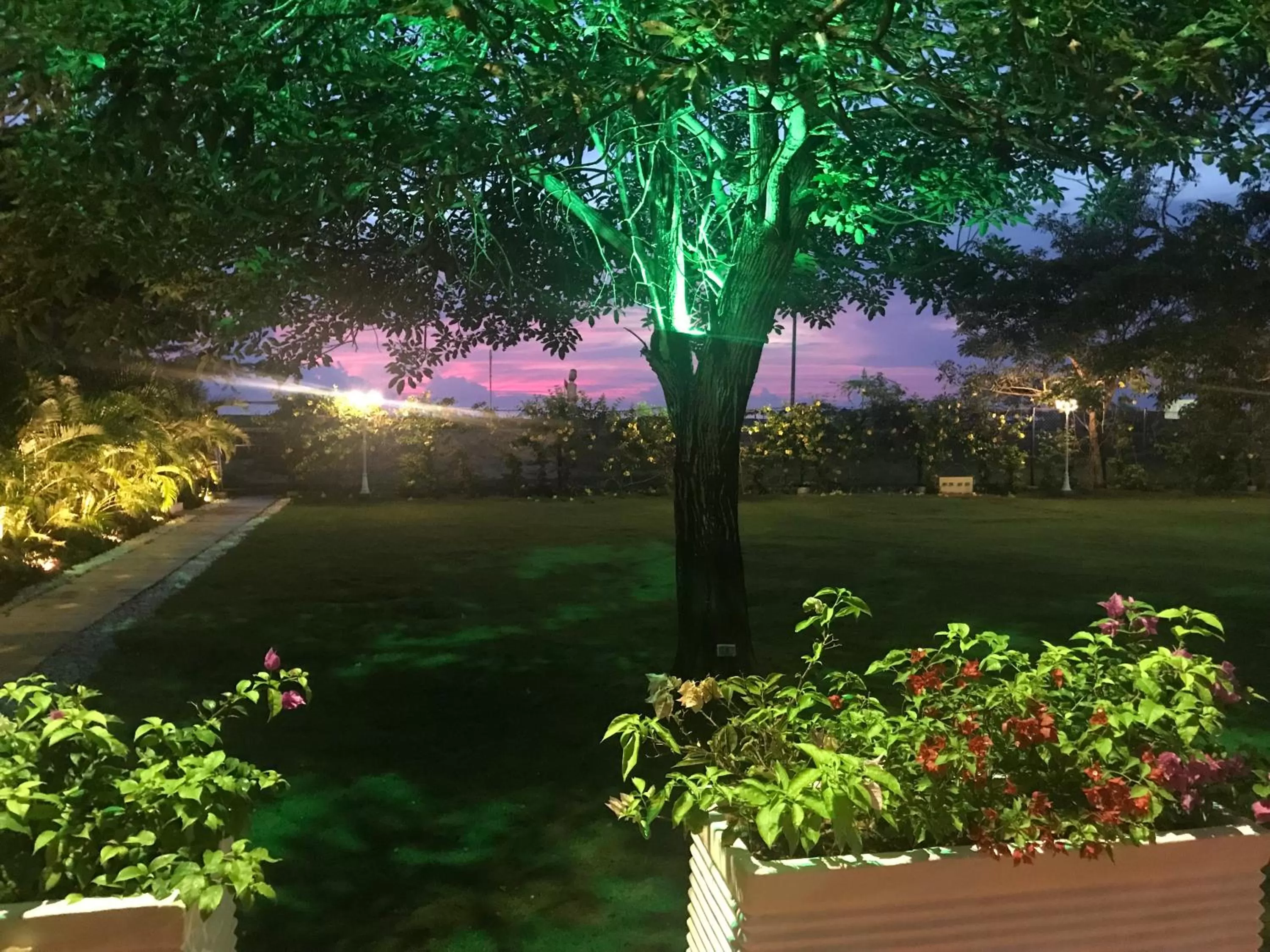 Natural landscape in Porto Bello Hotel Boutique