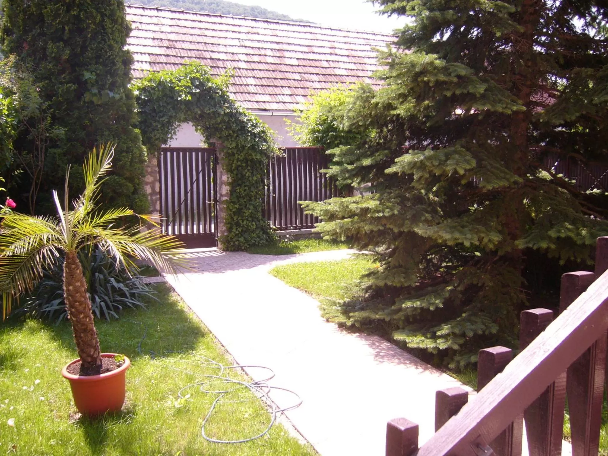 Other in Csaki Vendeghaz