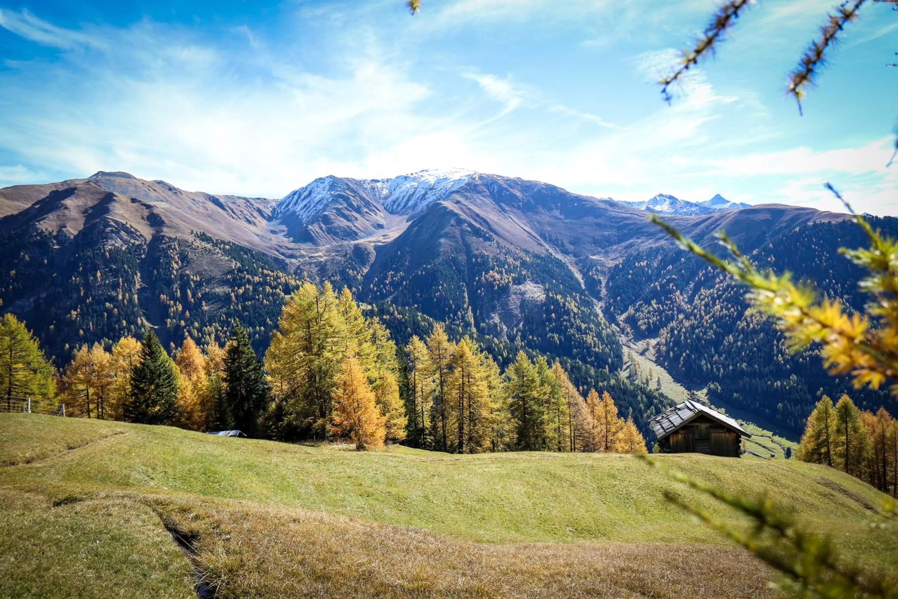 Natural Landscape in Pension Fuchs