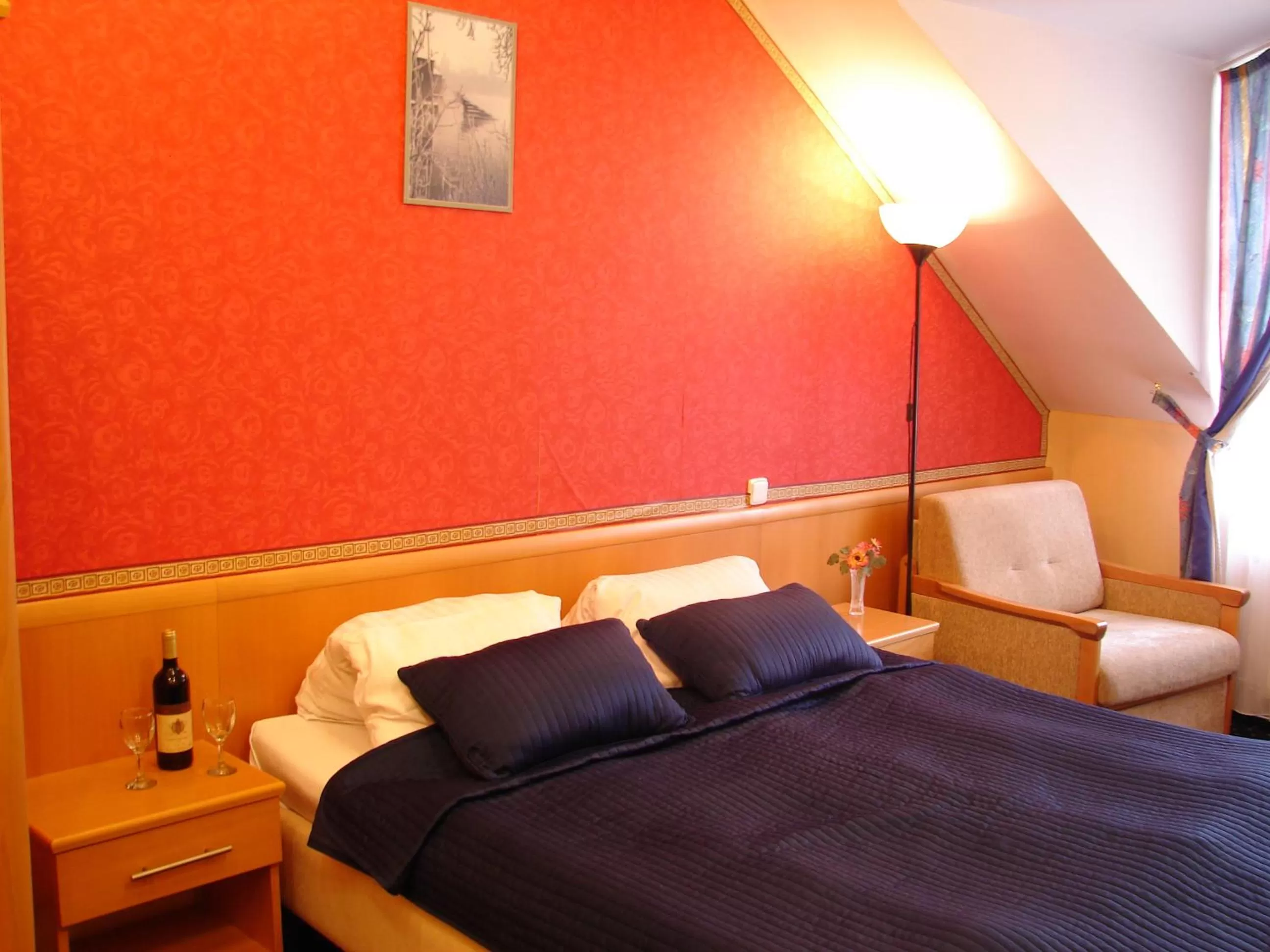 Double Room in Hotel Aladin