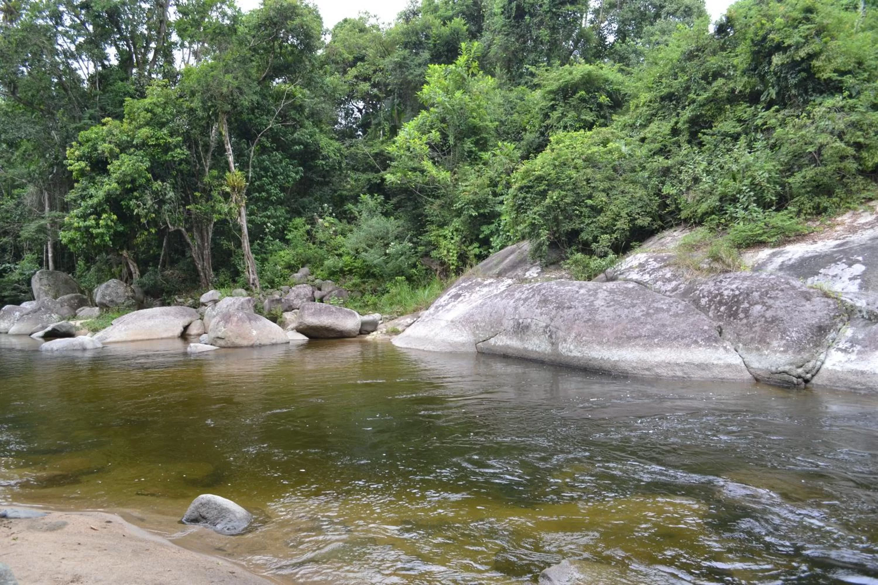 Natural landscape in Pousada Canto do Curió Paraty