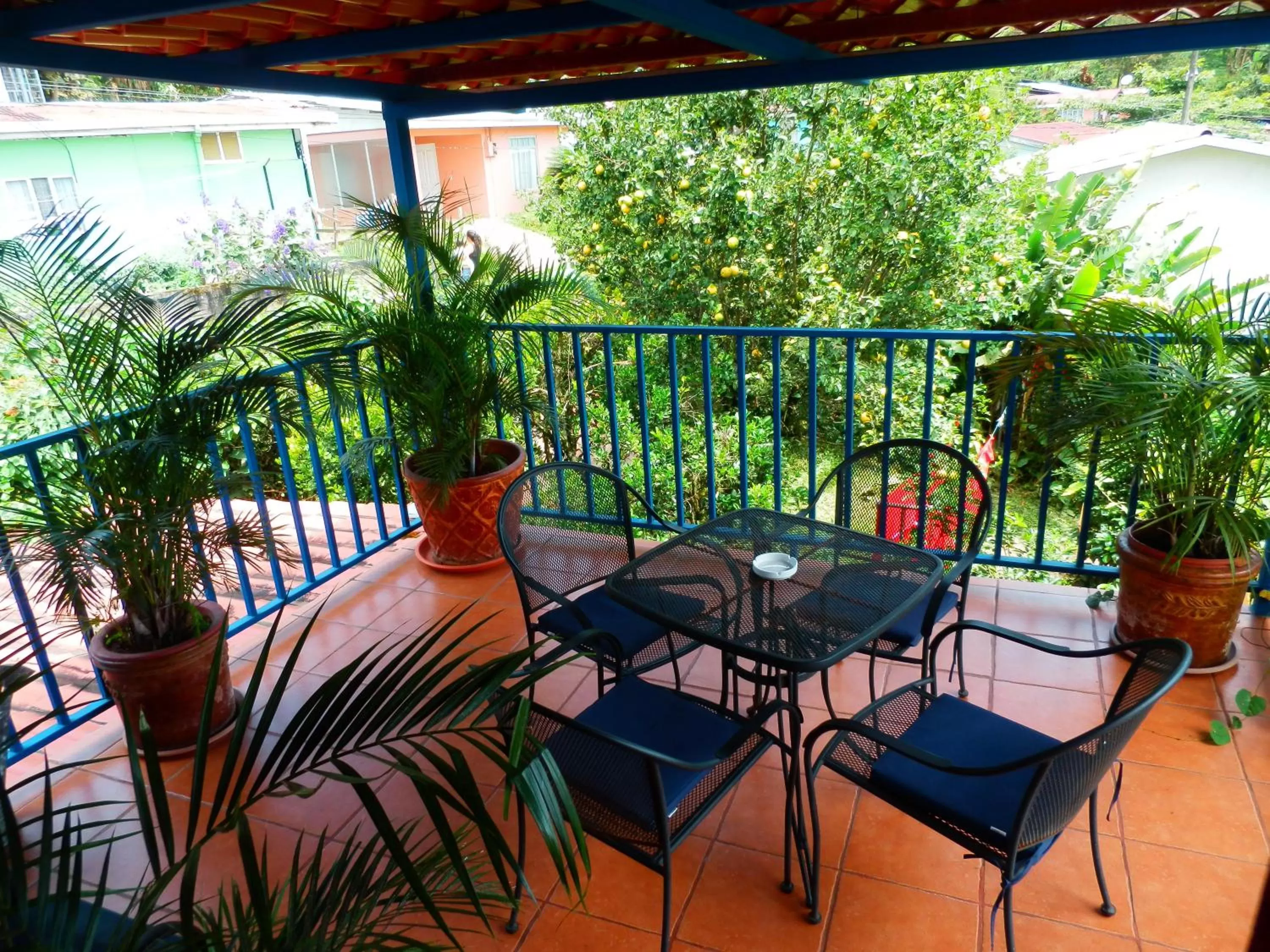 Other in Orosi Lodge