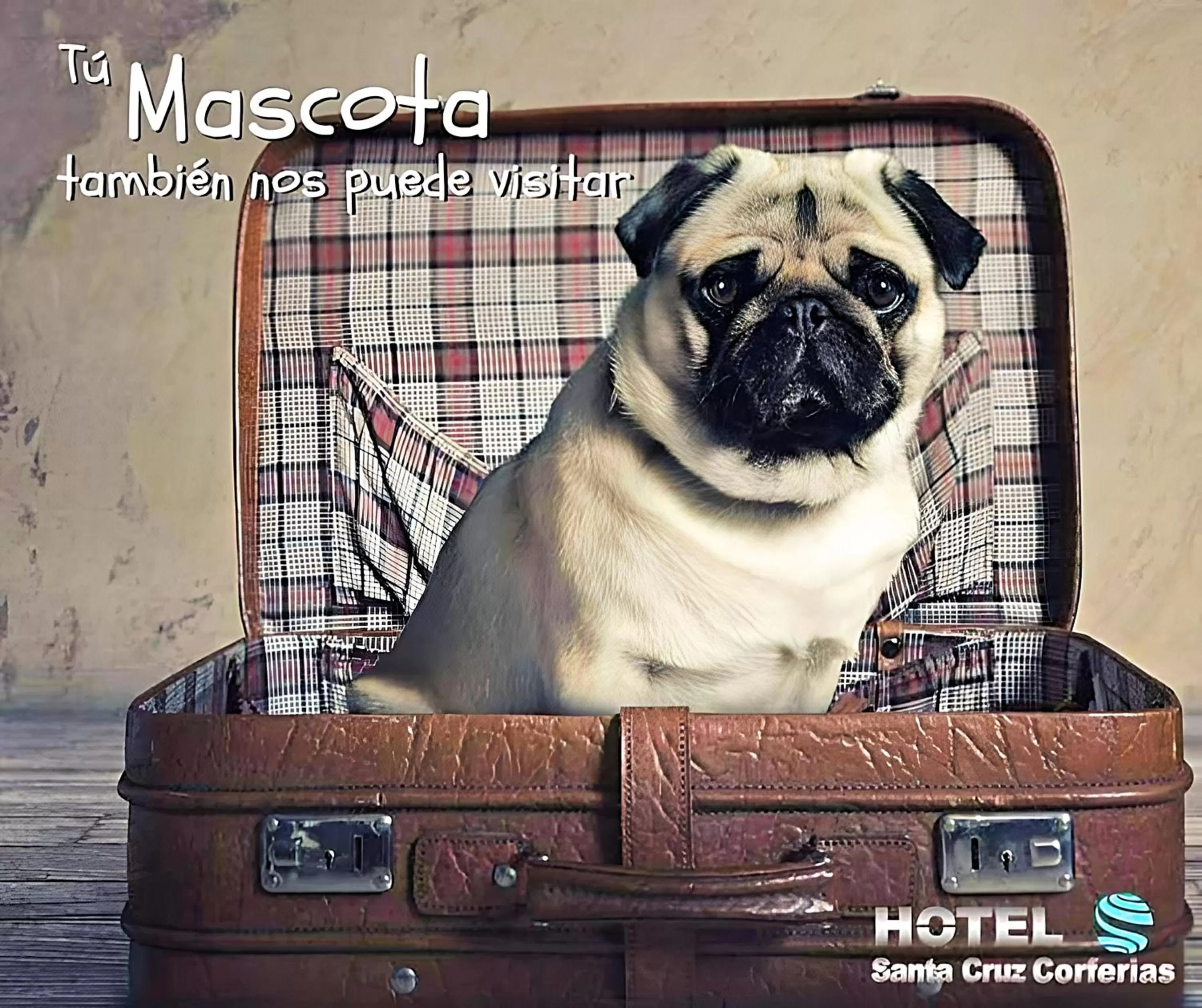 Pets in Hotel Santa Cruz Bogotá