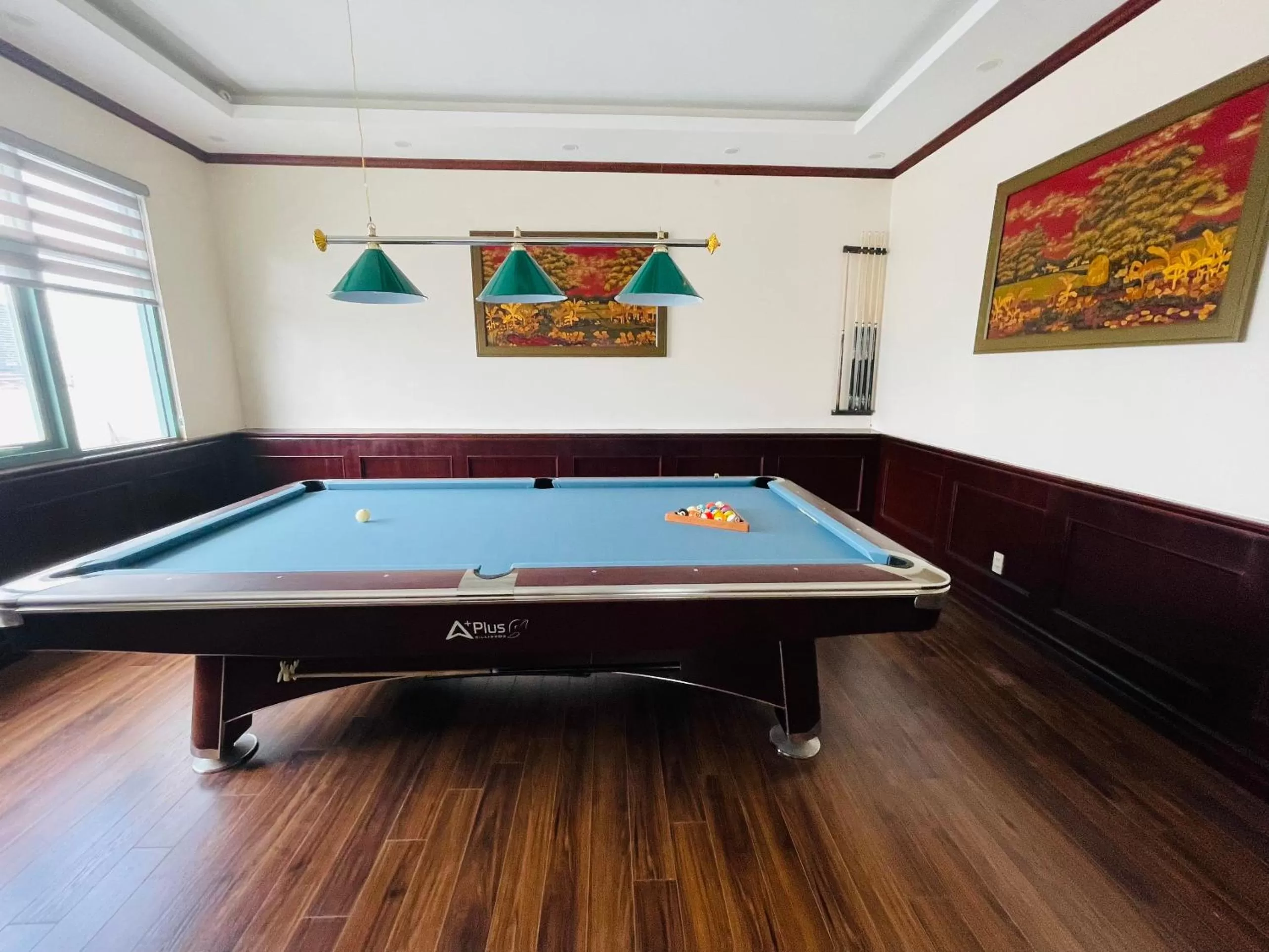 Billiard in The Tray Hotel Hai Phong
